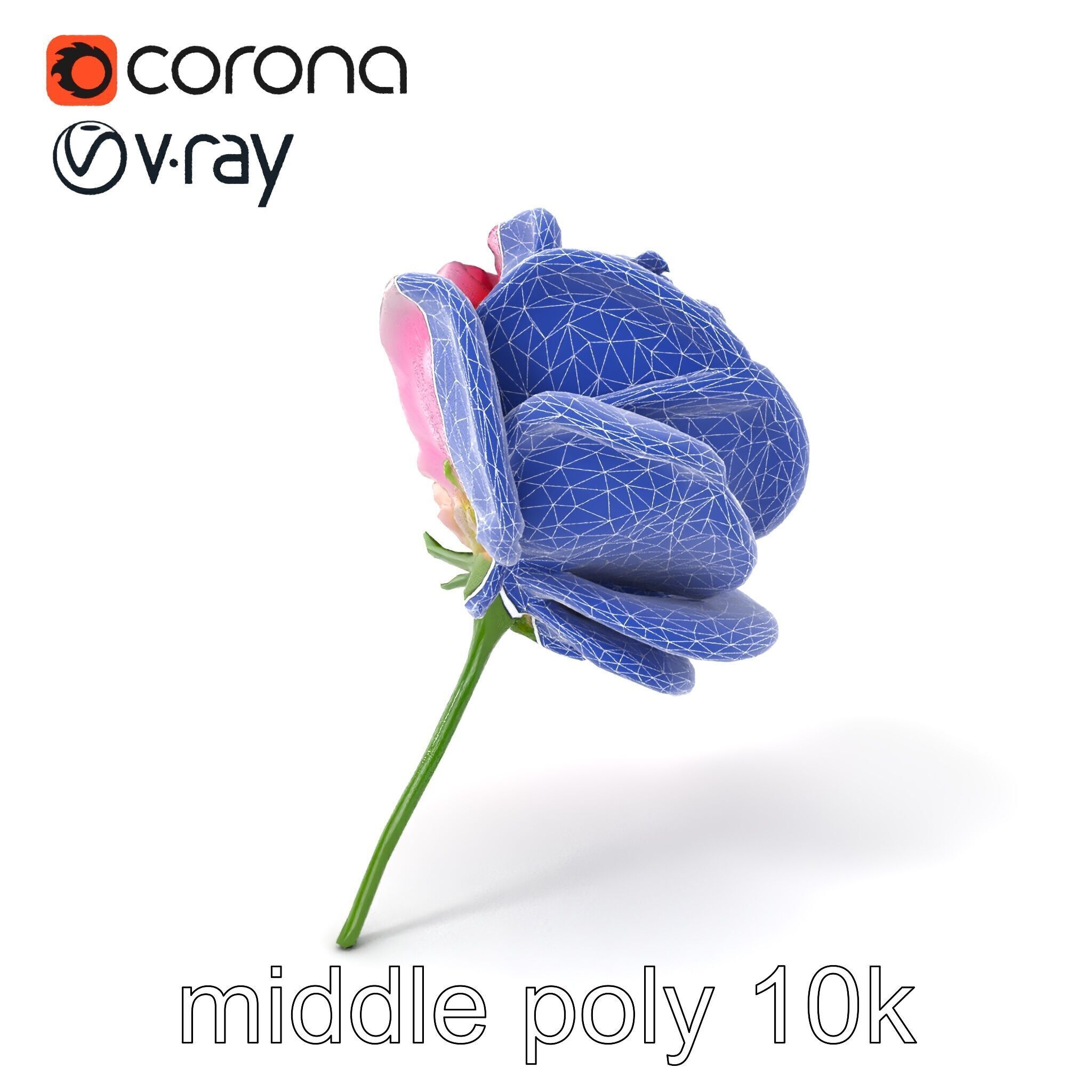 Rosa Odorata Tea Rose Large Flowers model pack Low-poly 3D model_6