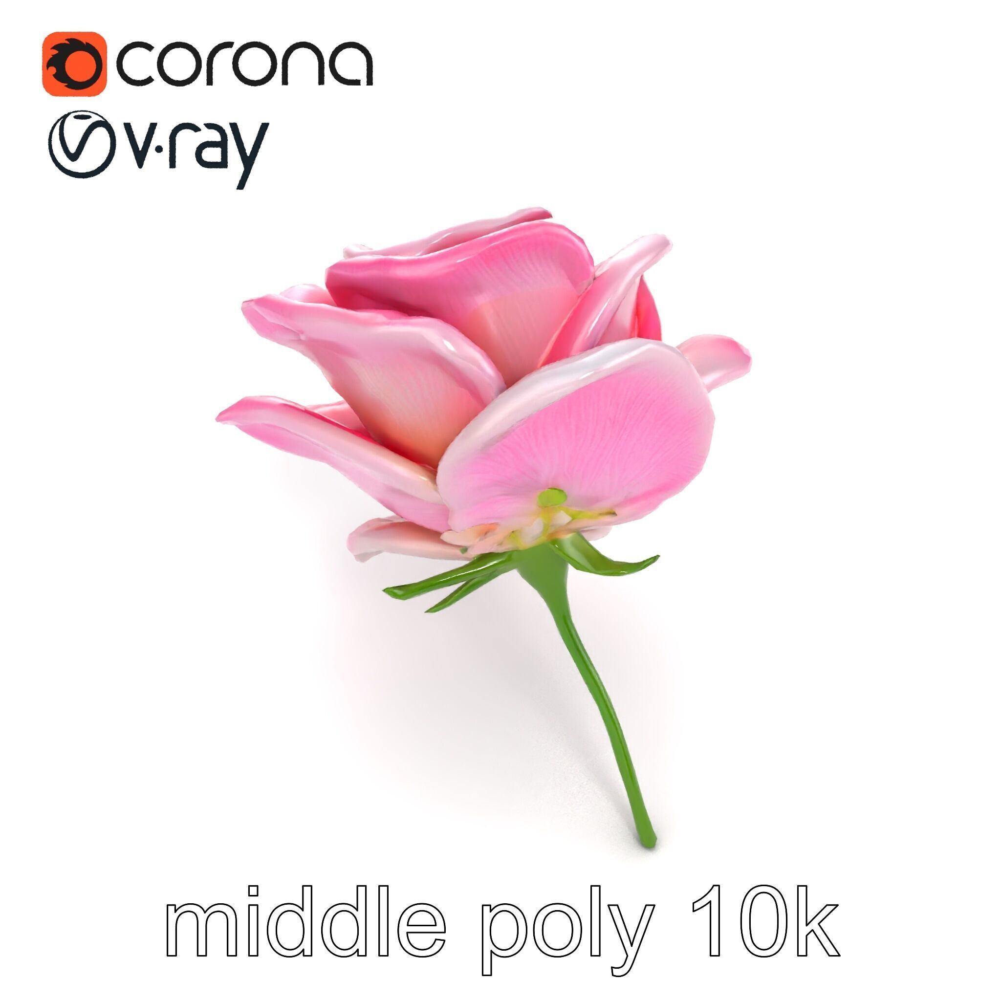 Rosa Odorata Tea Rose Large Flowers model pack Low-poly 3D model_16