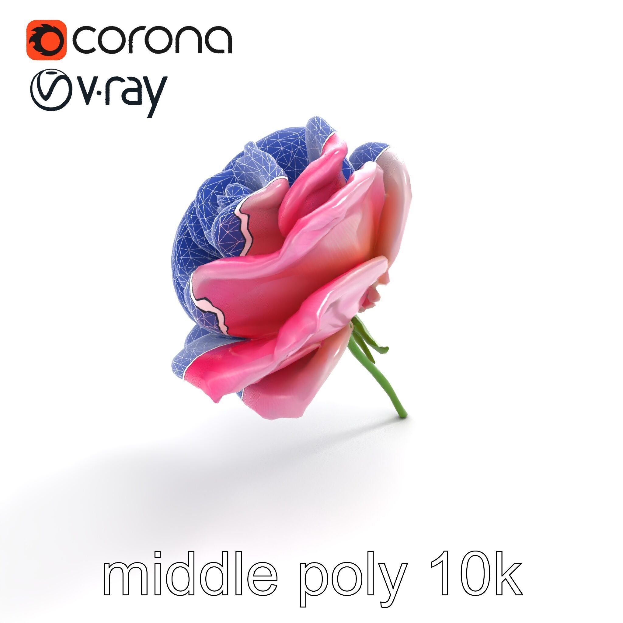 Rosa Odorata Tea Rose Large Flowers model pack Low-poly 3D model_25