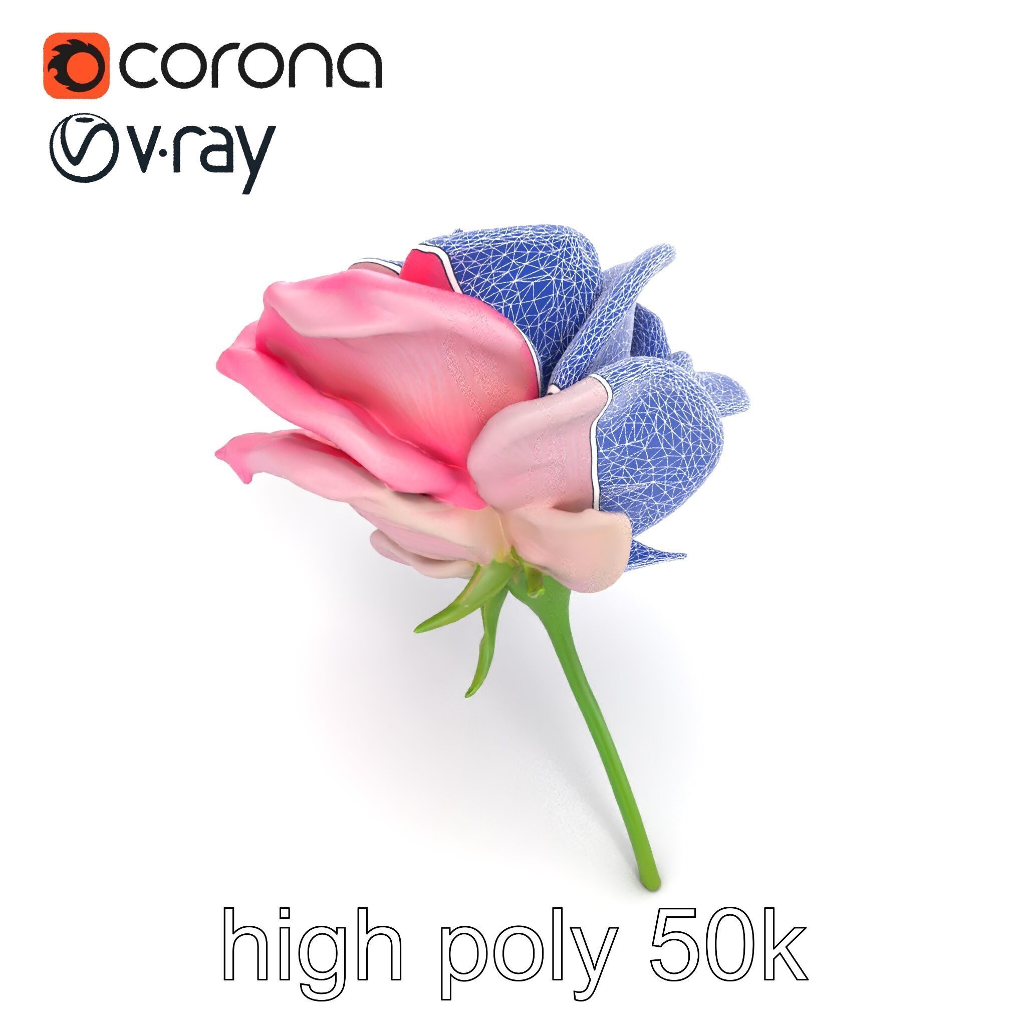 Rosa Odorata Tea Rose Large Flowers model pack Low-poly 3D model_18