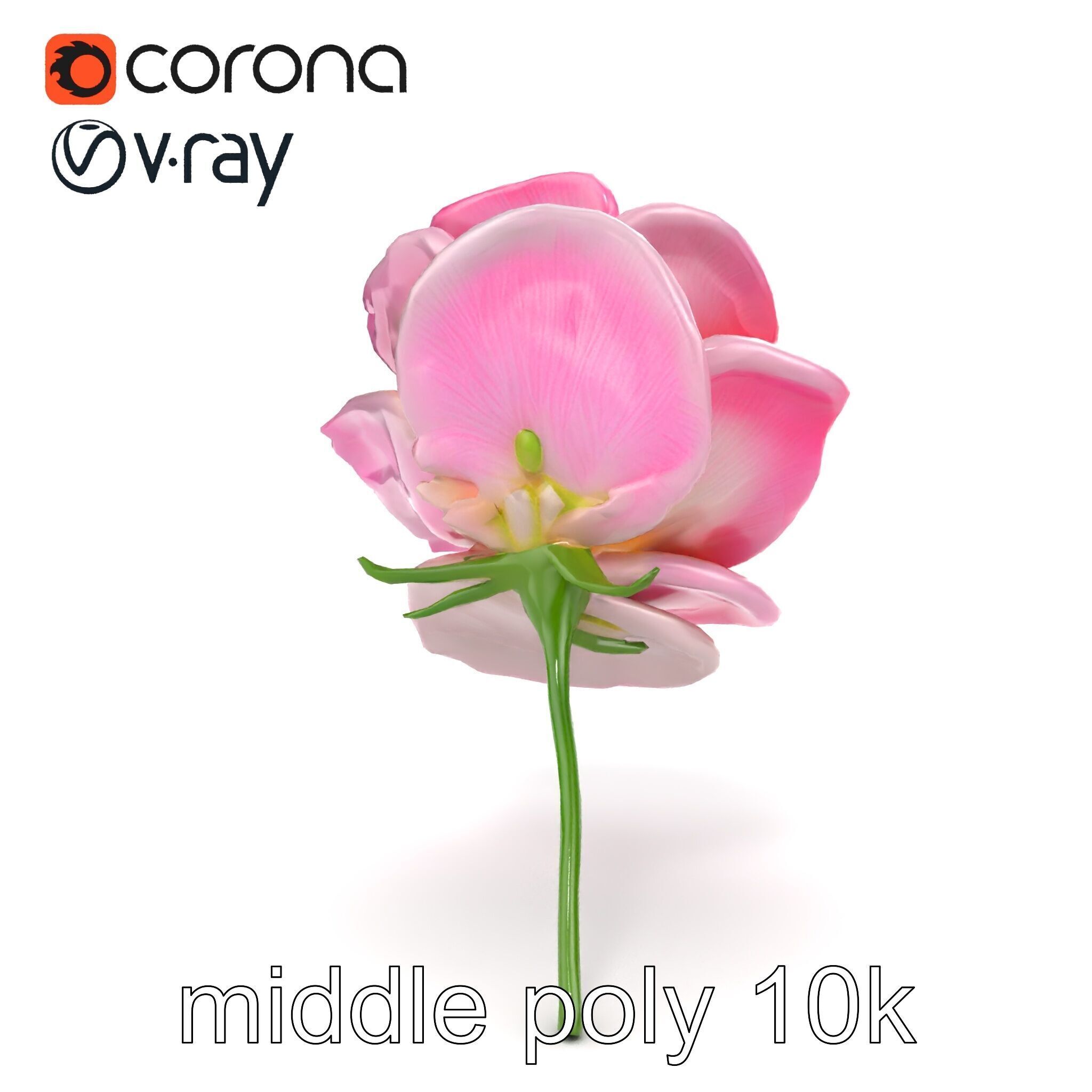 Rosa Odorata Tea Rose Large Flowers model pack Low-poly 3D model_13