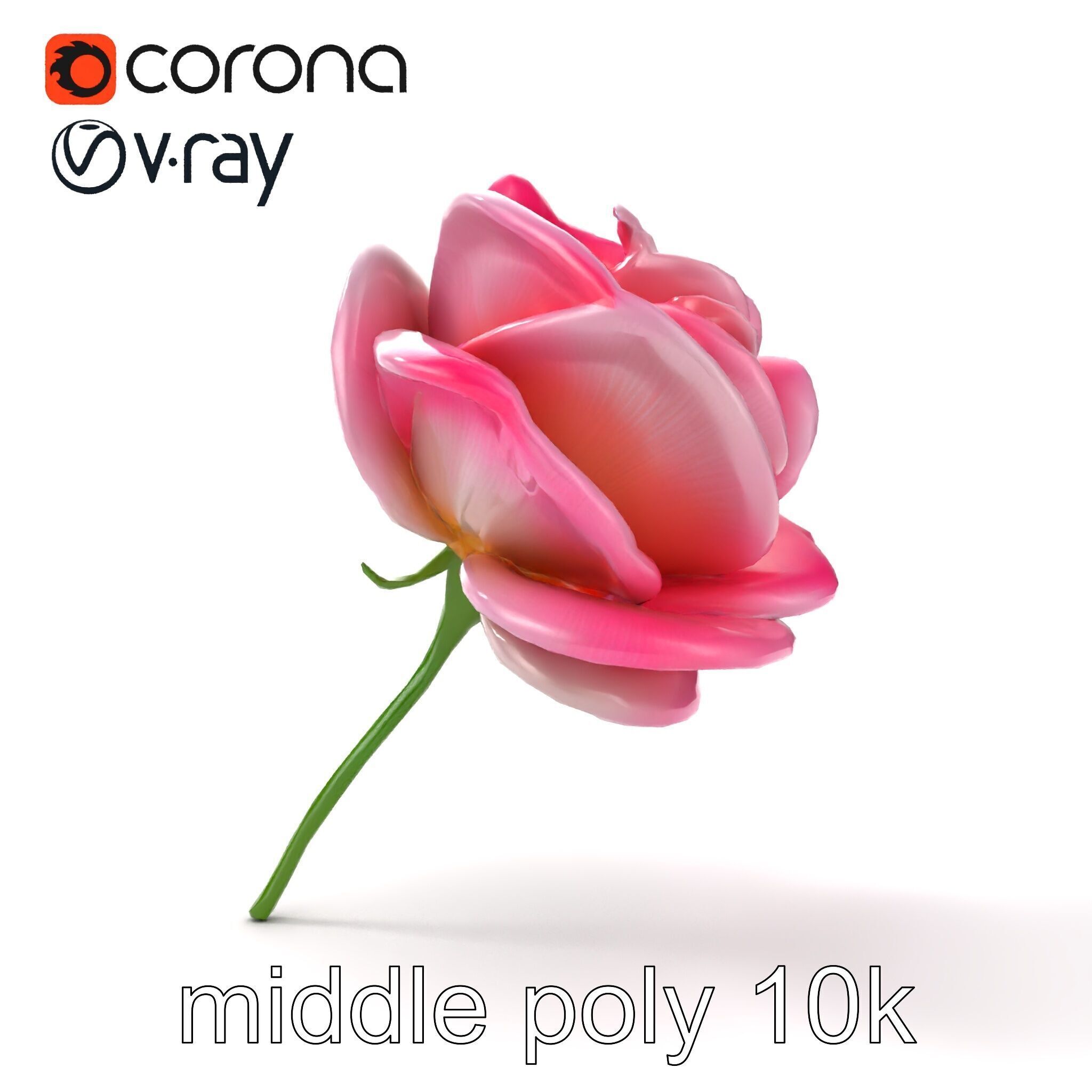 Rosa Odorata Tea Rose Large Flowers model pack Low-poly 3D model_12