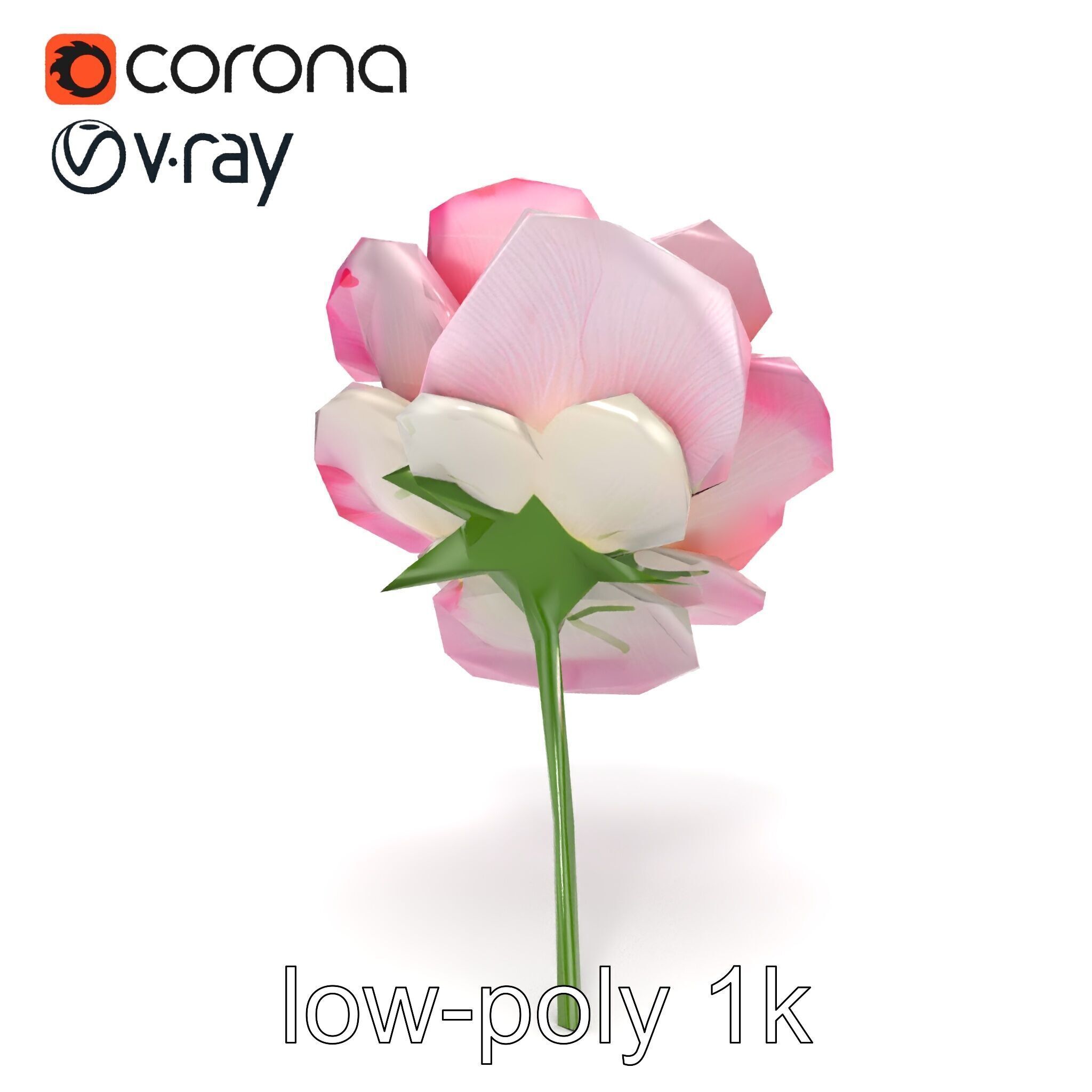 Rosa Odorata Tea Rose Large Flowers model pack Low-poly 3D model_23