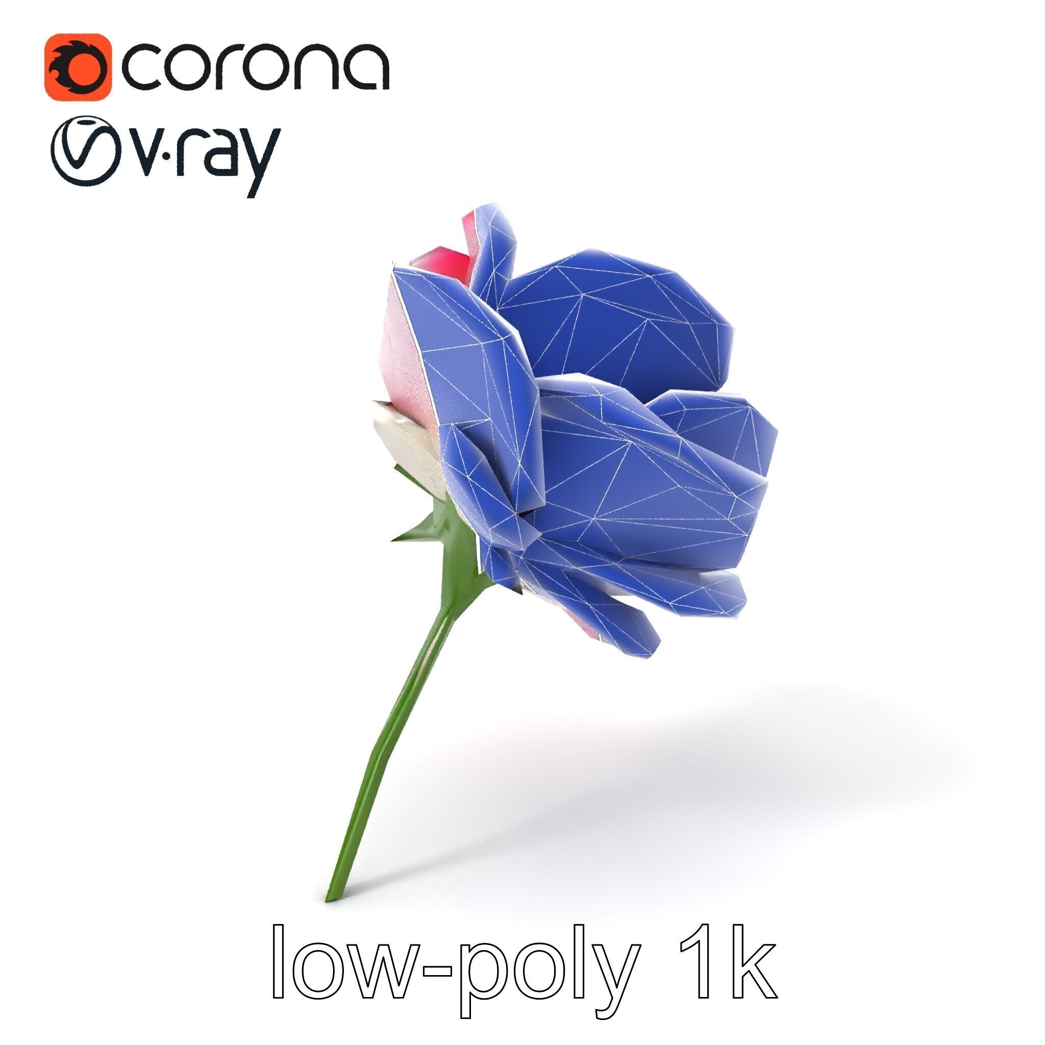 Rosa Odorata Tea Rose Large Flowers model pack Low-poly 3D model_7