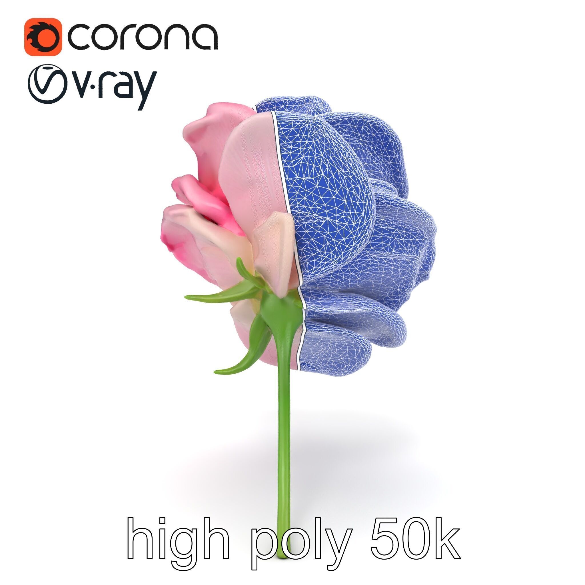Rosa Odorata Tea Rose Large Flowers model pack Low-poly 3D model_31