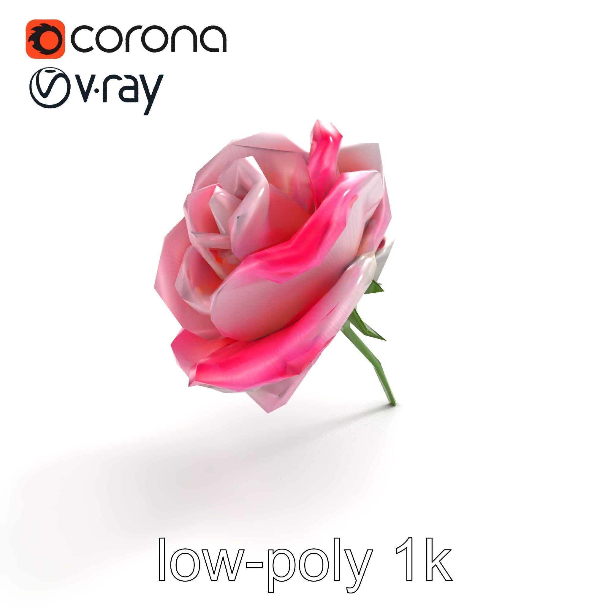 Rosa Odorata Tea Rose Large Flowers model pack Low-poly 3D model_9