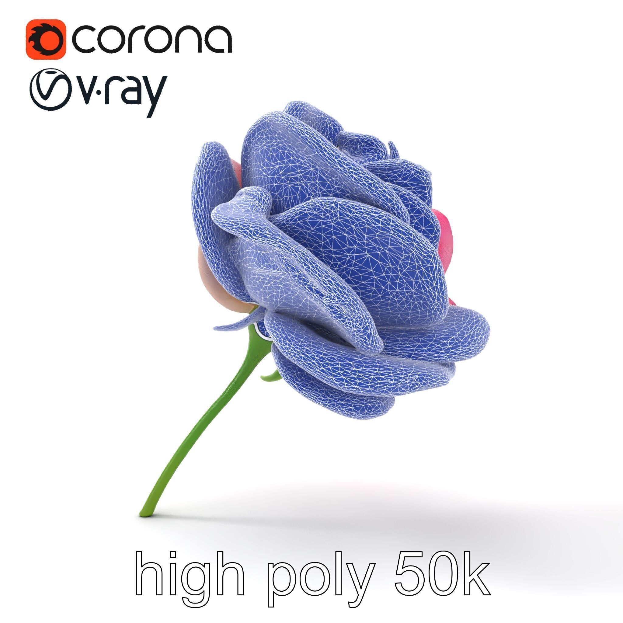 Rosa Odorata Tea Rose Large Flowers model pack Low-poly 3D model_32