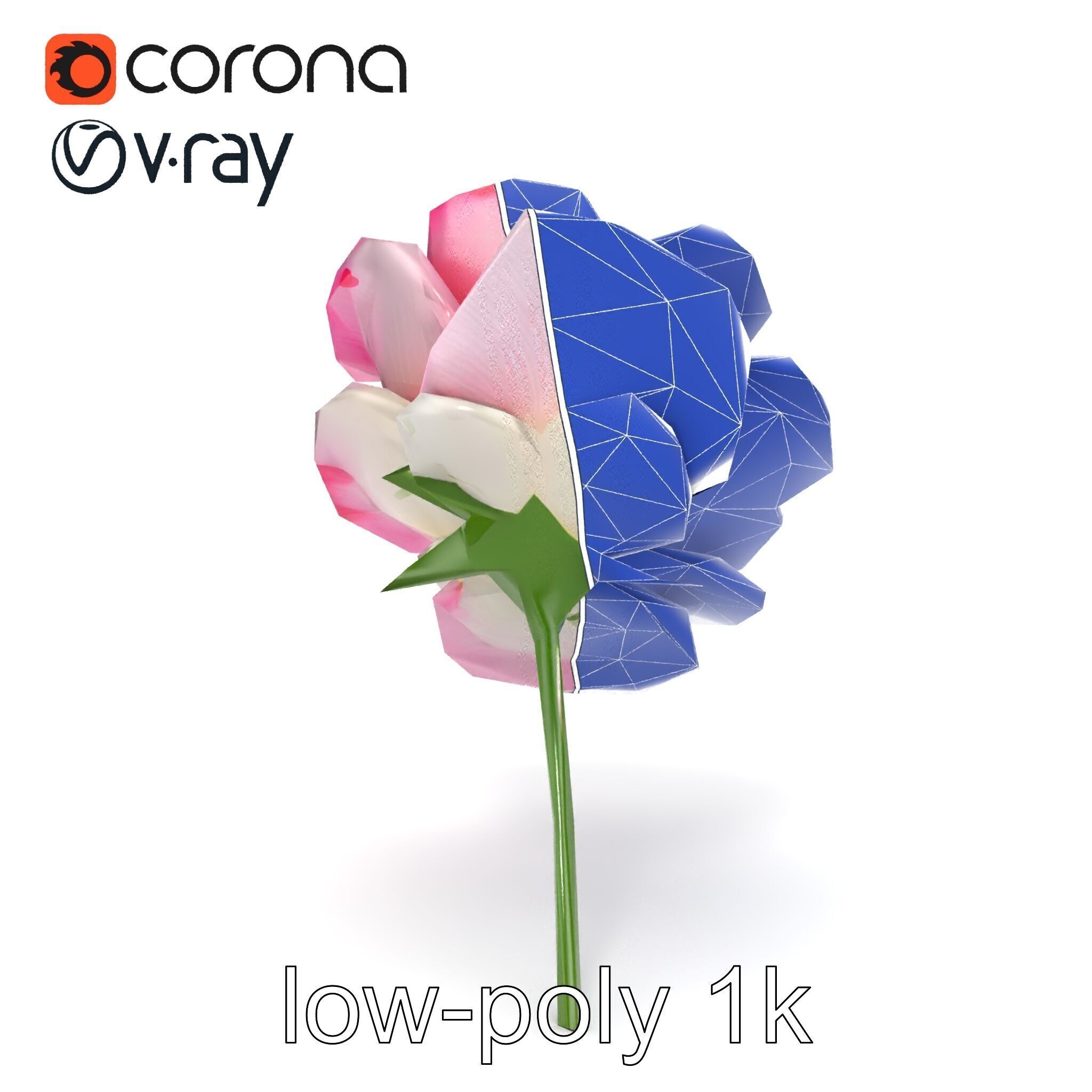 Rosa Odorata Tea Rose Large Flowers model pack Low-poly 3D model_28