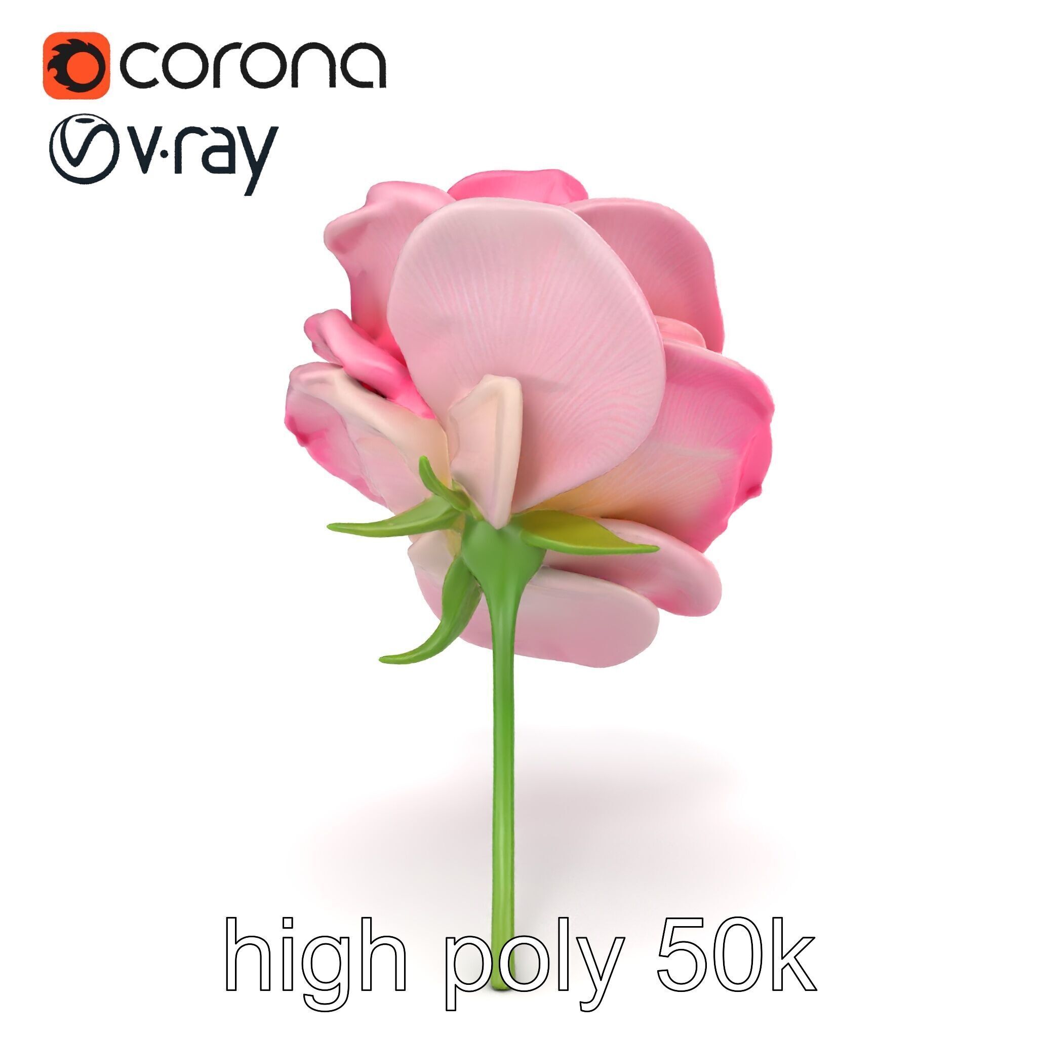 Rosa Odorata Tea Rose Large Flowers model pack Low-poly 3D model_26
