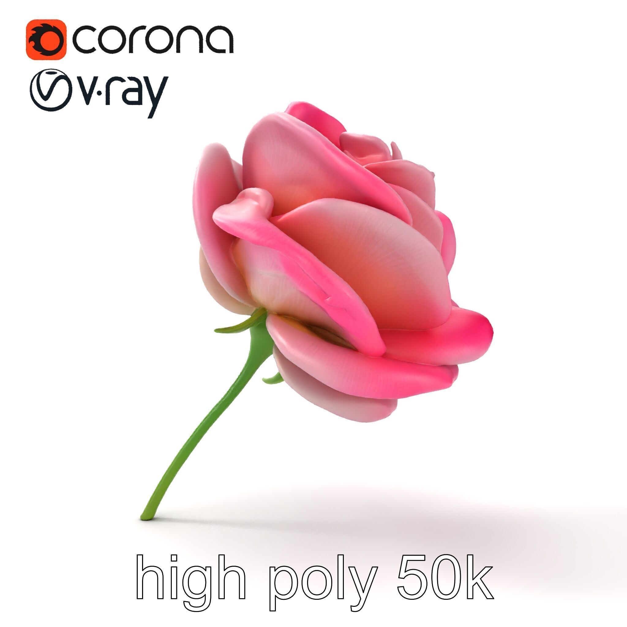 Rosa Odorata Tea Rose Large Flowers model pack Low-poly 3D model_15