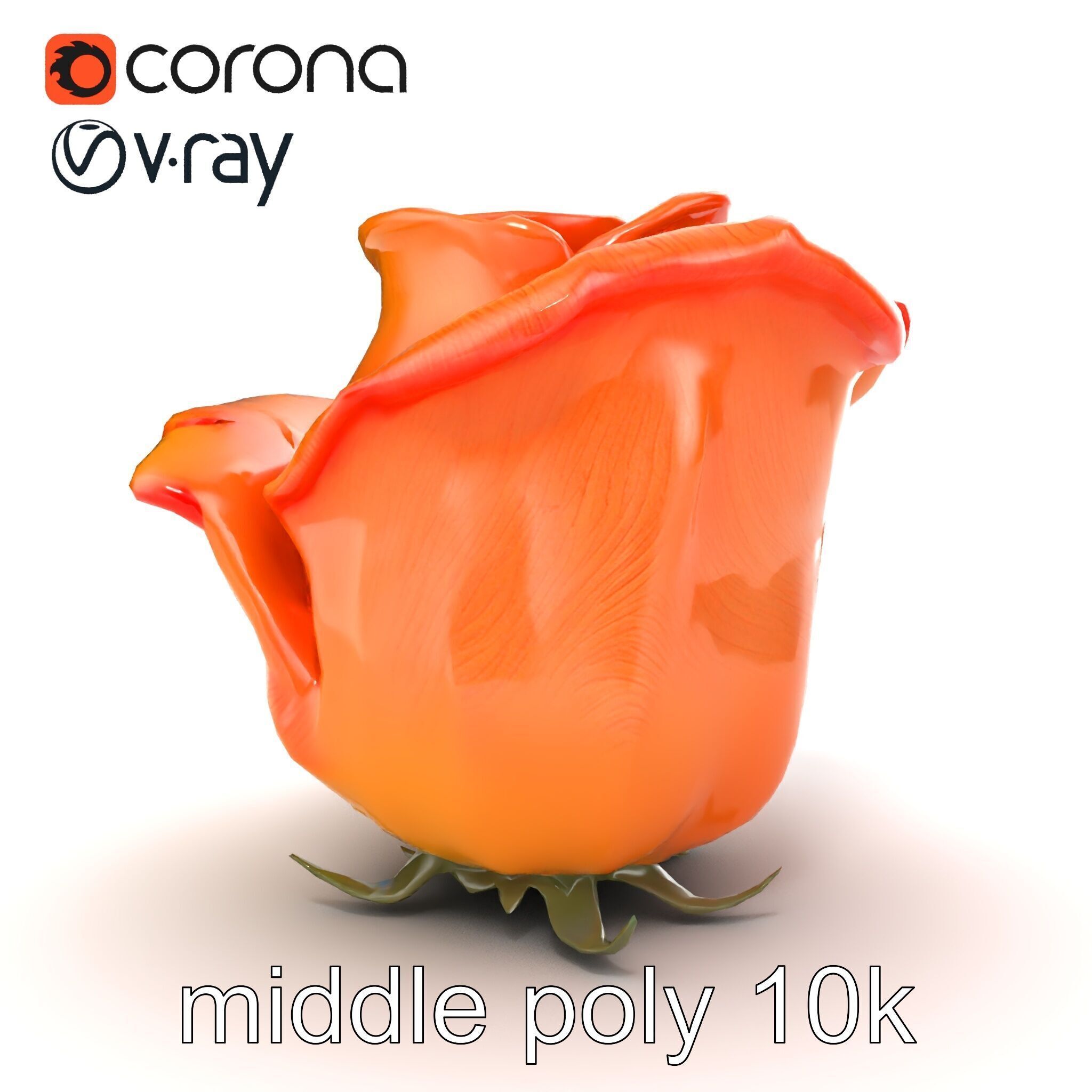 Rose Variety Beauty Blossoms model pack Low-poly 3D model_19