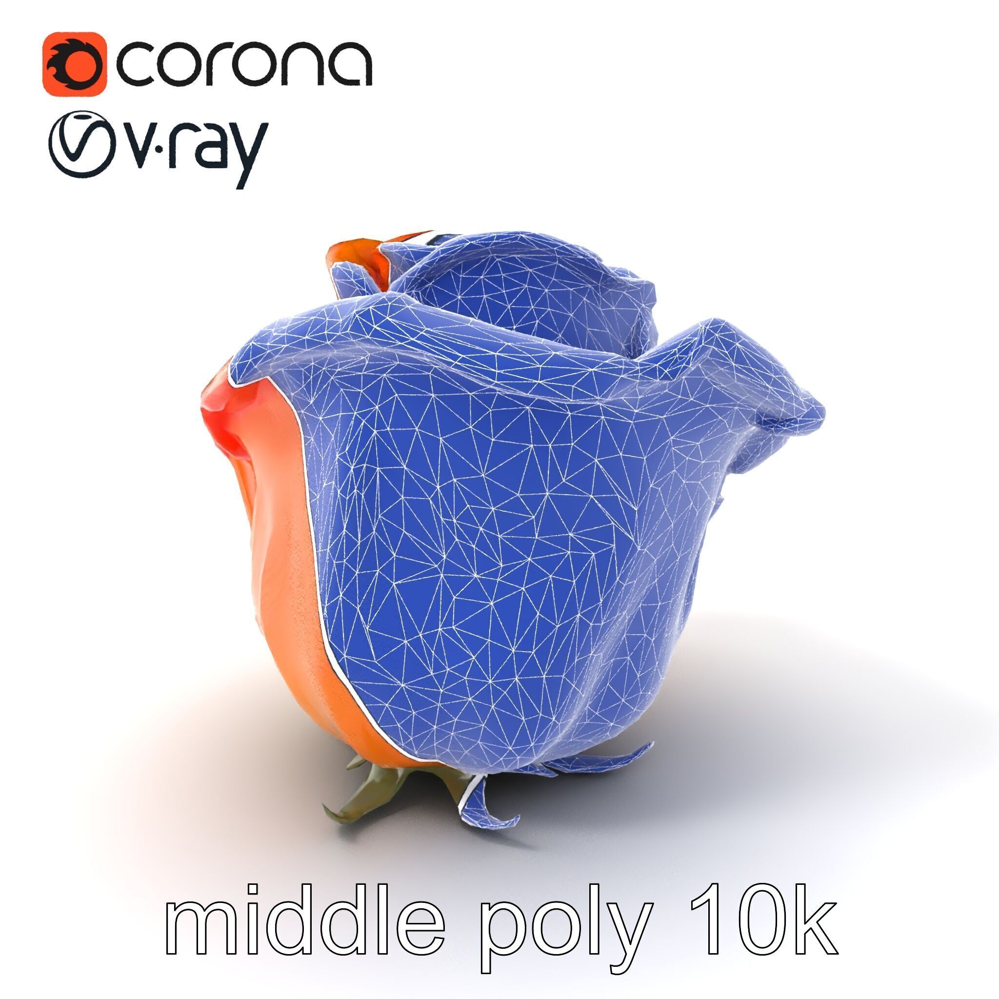 Rose Variety Beauty Blossoms model pack Low-poly 3D model_5