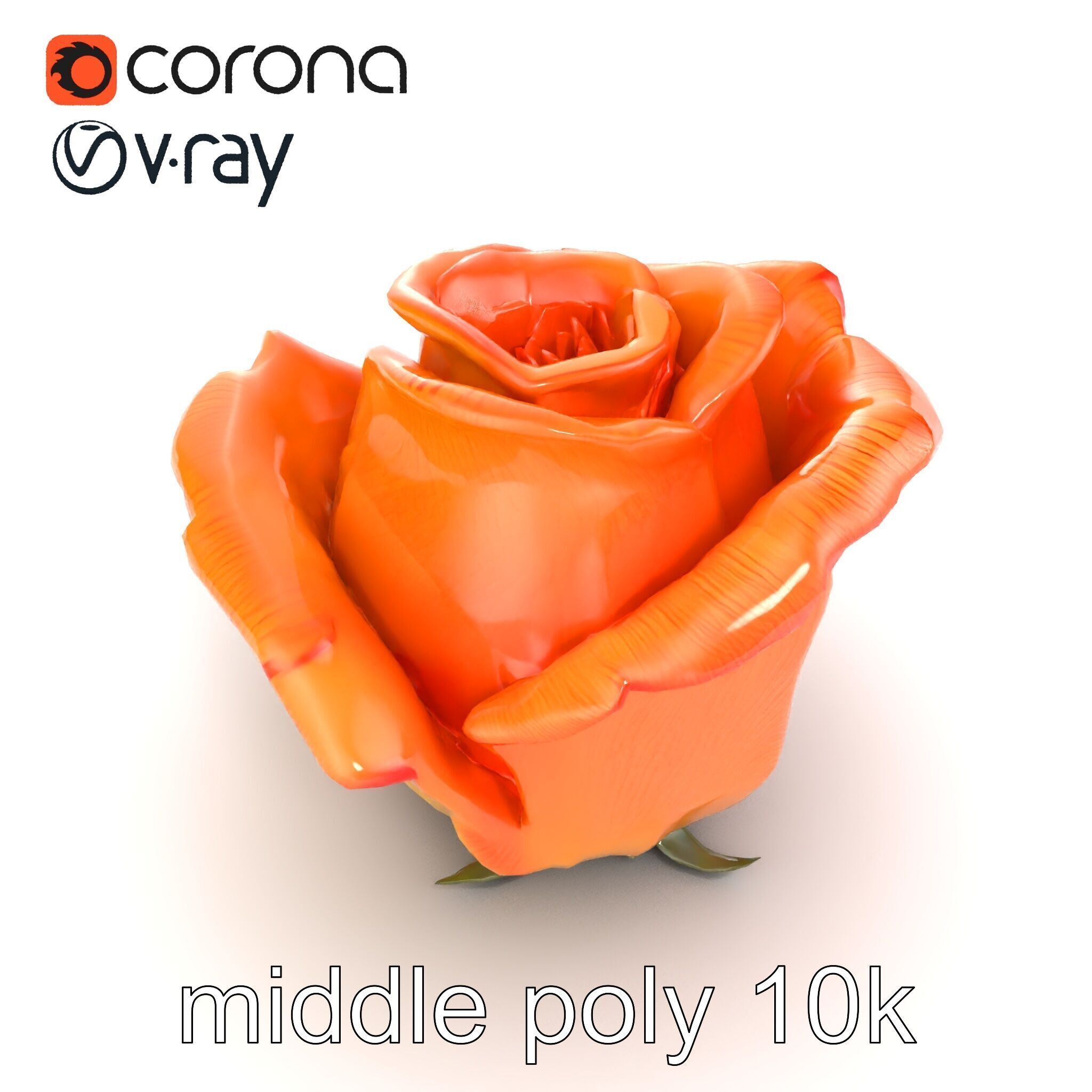 Rose Variety Beauty Blossoms model pack Low-poly 3D model_13