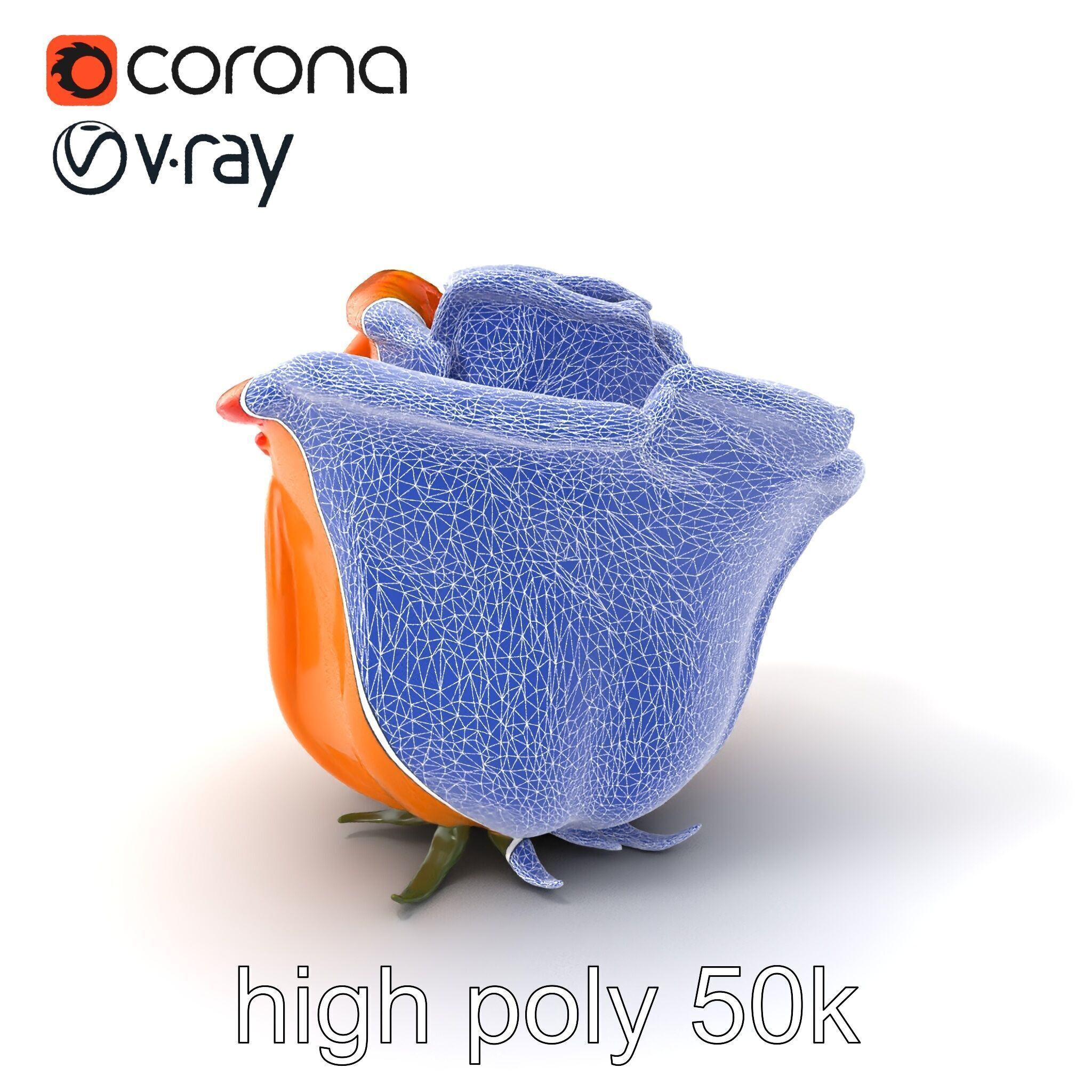 Rose Variety Beauty Blossoms model pack Low-poly 3D model_1