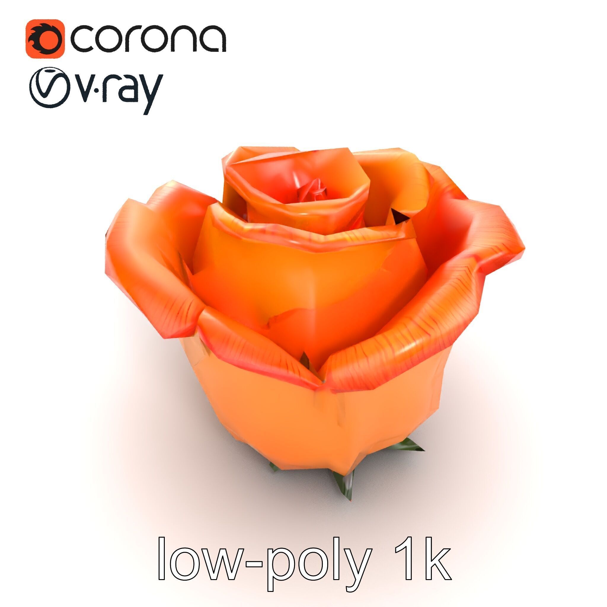 Rose Variety Beauty Blossoms model pack Low-poly 3D model_27