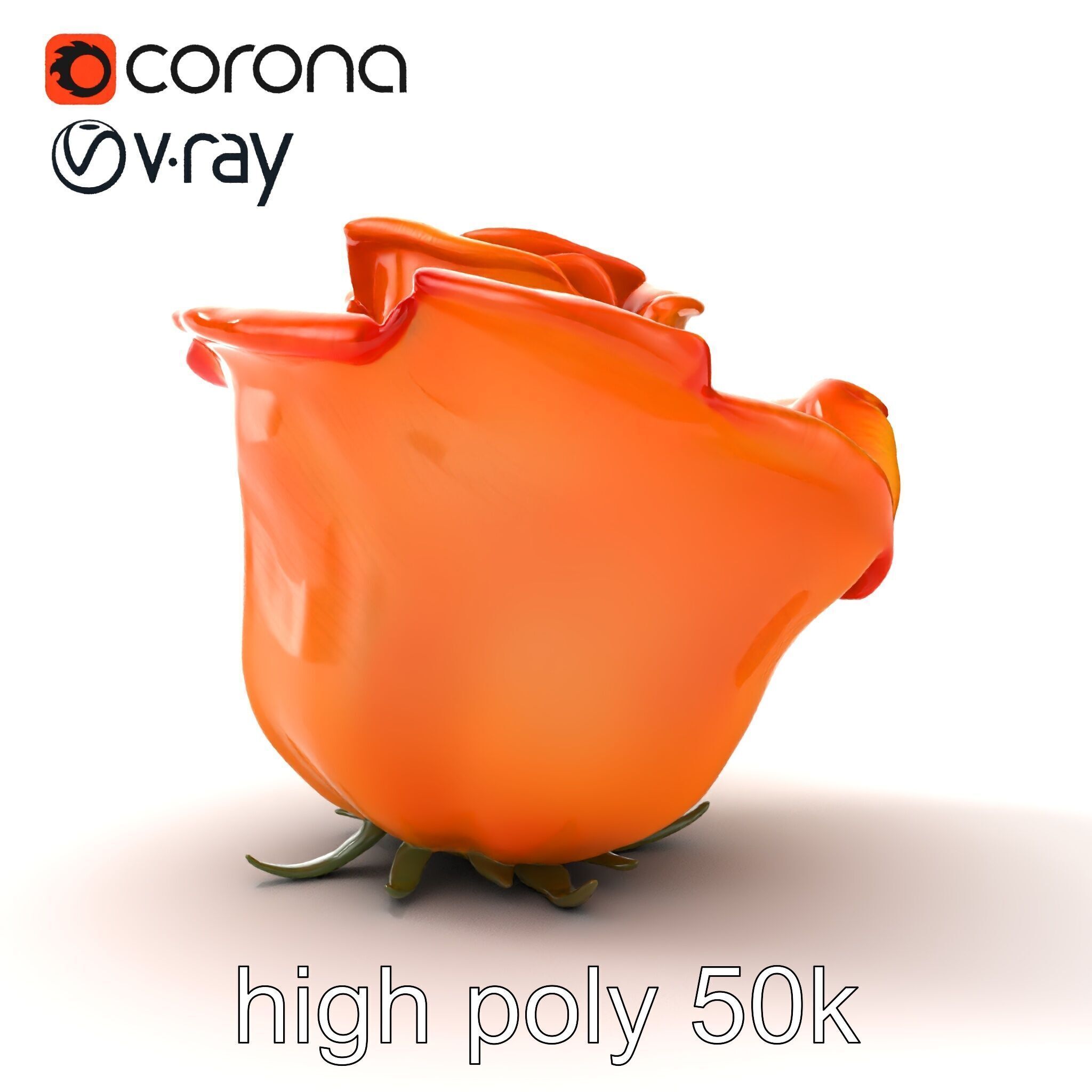 Rose Variety Beauty Blossoms model pack Low-poly 3D model_11