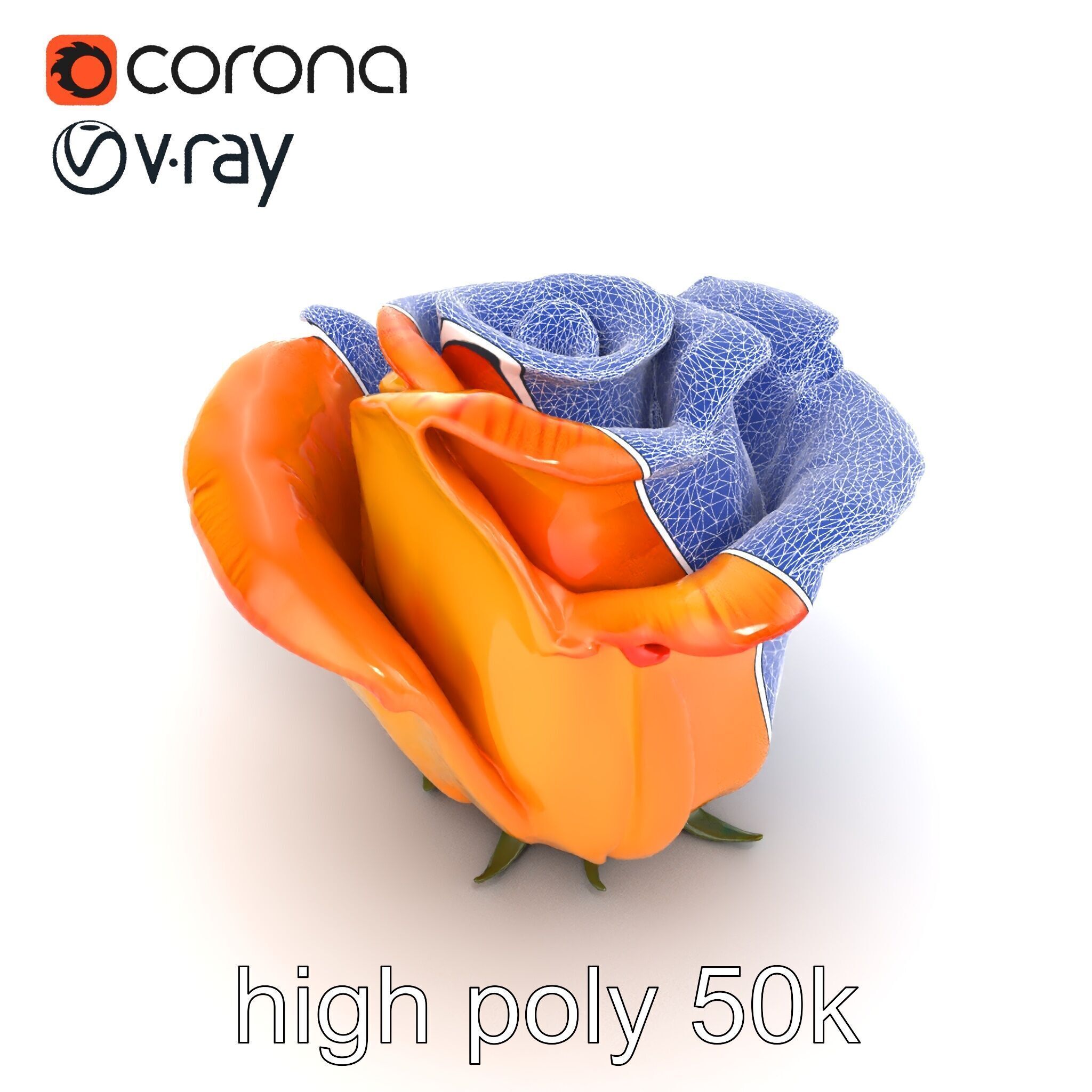 Rose Variety Beauty Blossoms model pack Low-poly 3D model_26