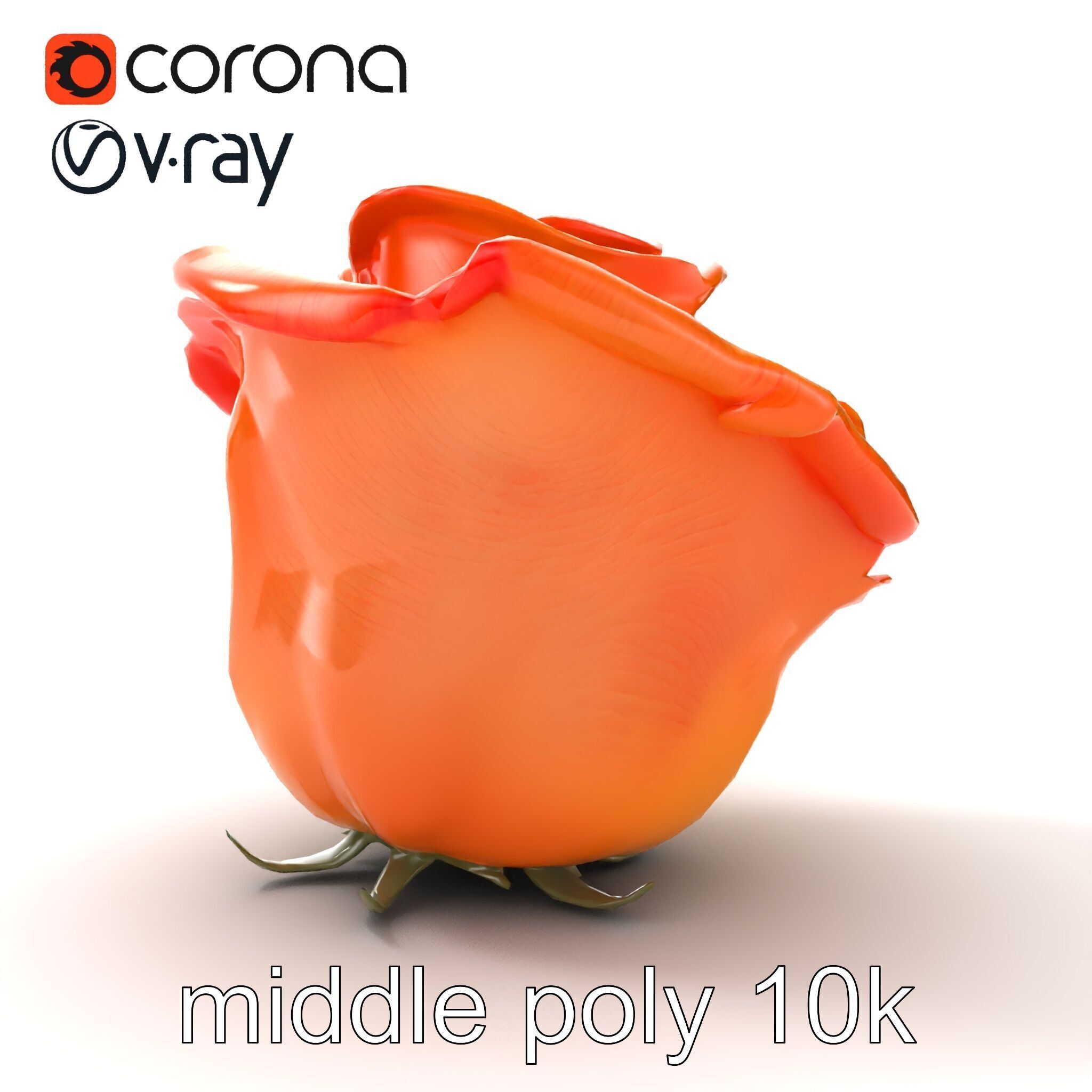 Rose Variety Beauty Blossoms model pack Low-poly 3D model_20