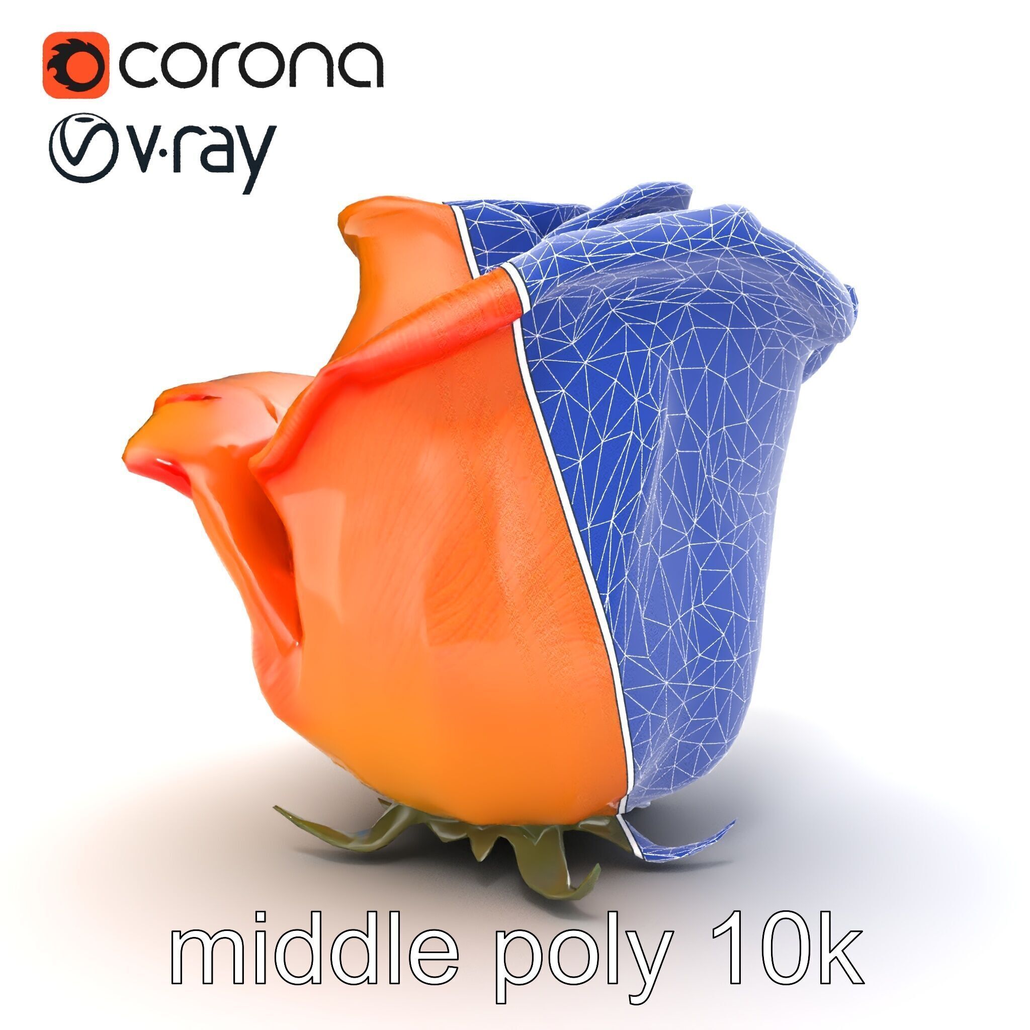 Rose Variety Beauty Blossoms model pack Low-poly 3D model_21