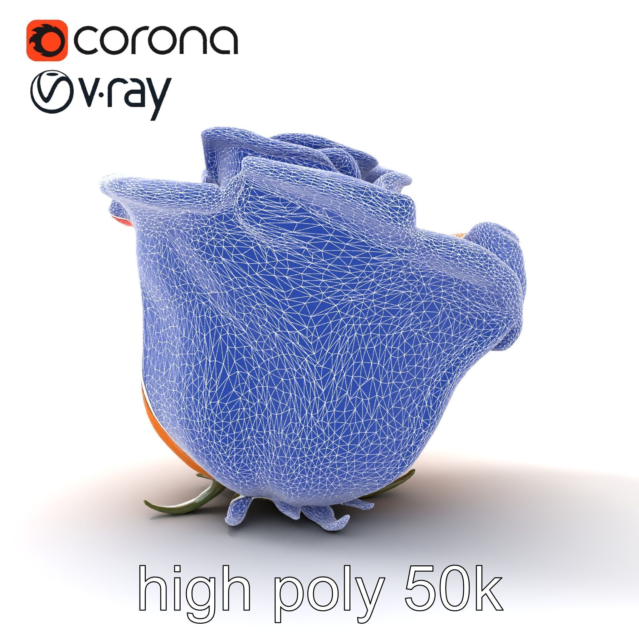 Rose Variety Beauty Blossoms model pack Low-poly 3D model_30