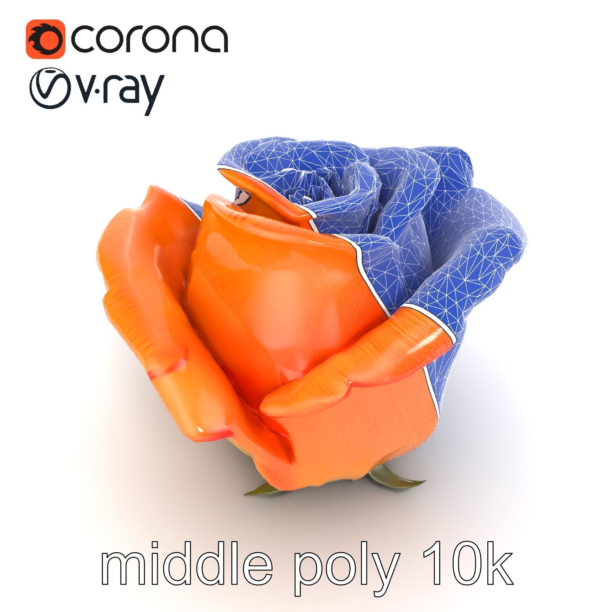 Rose Variety Beauty Blossoms model pack Low-poly 3D model_29