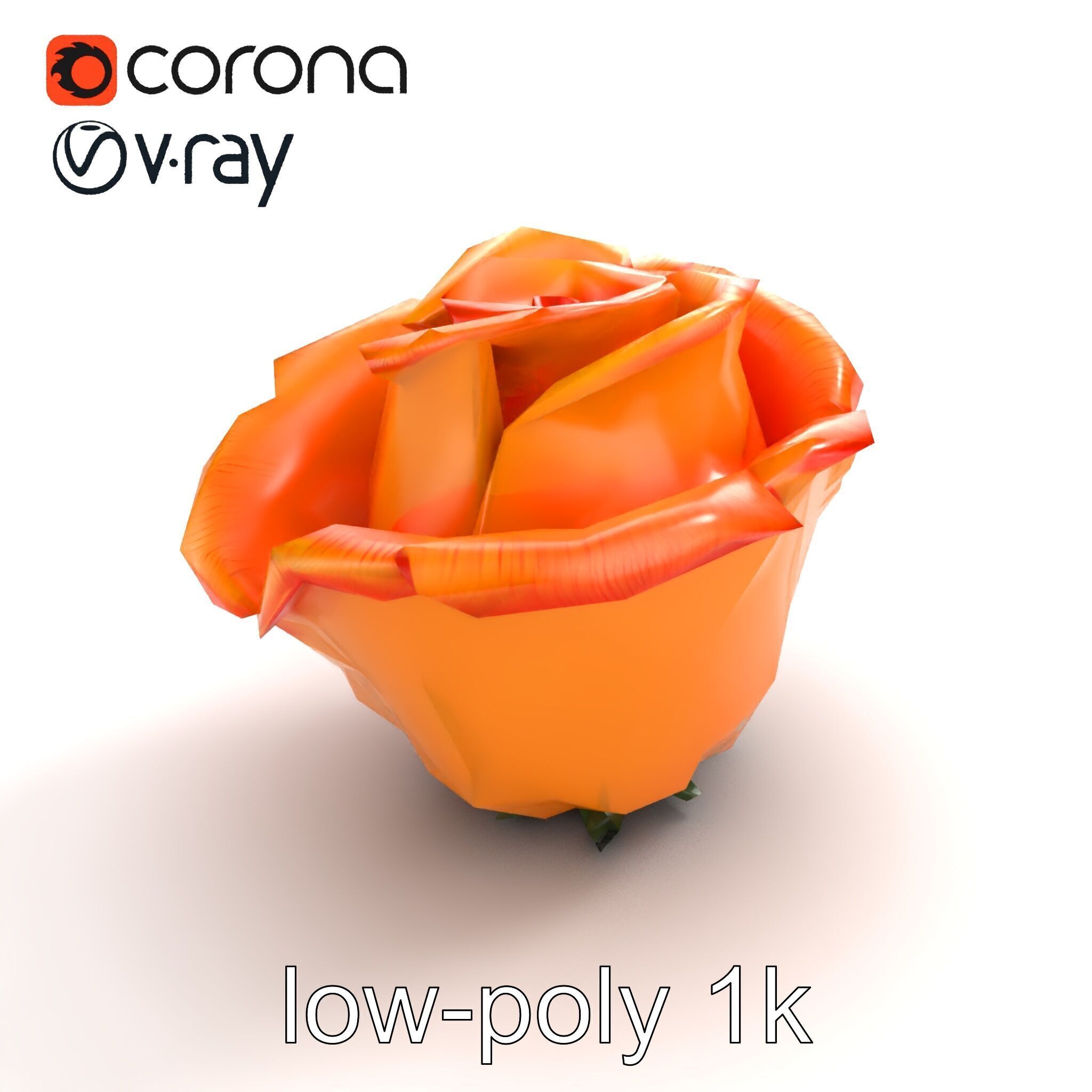 Rose Variety Beauty Blossoms model pack Low-poly 3D model_8