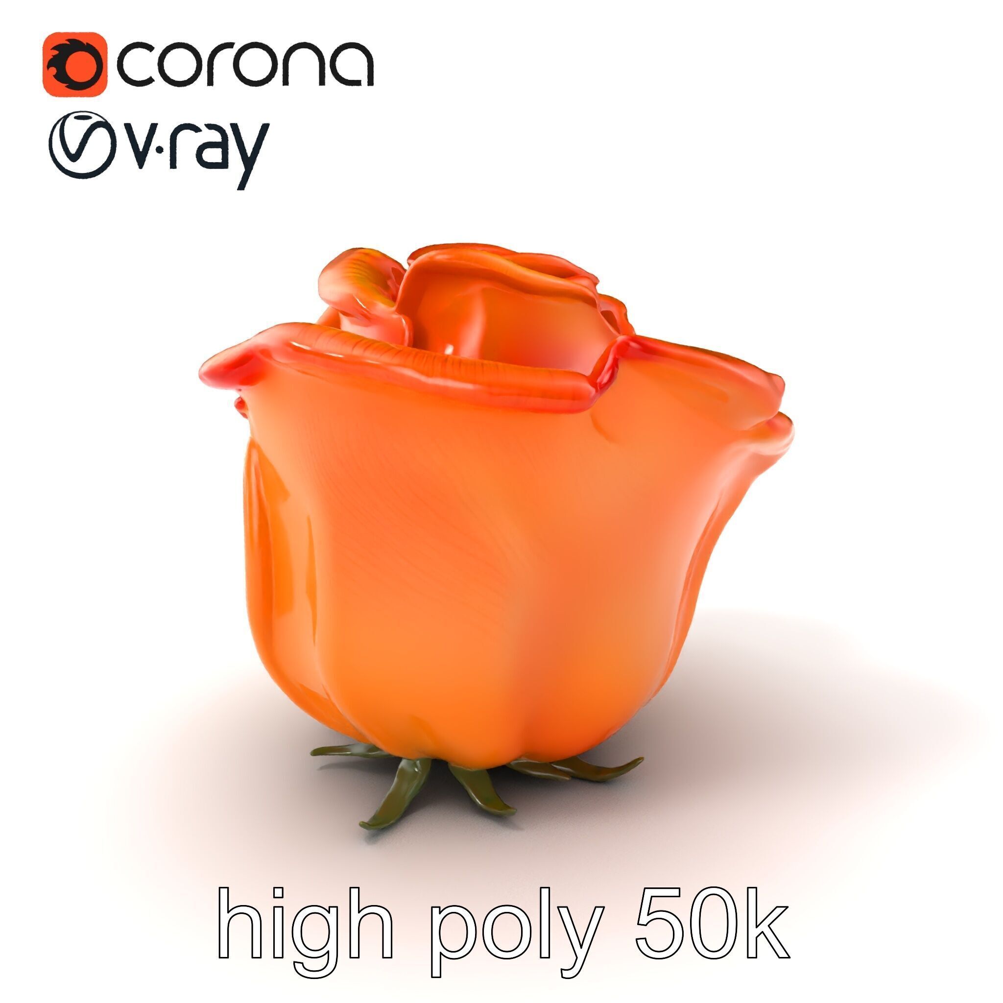 Rose Variety Beauty Blossoms model pack Low-poly 3D model_2