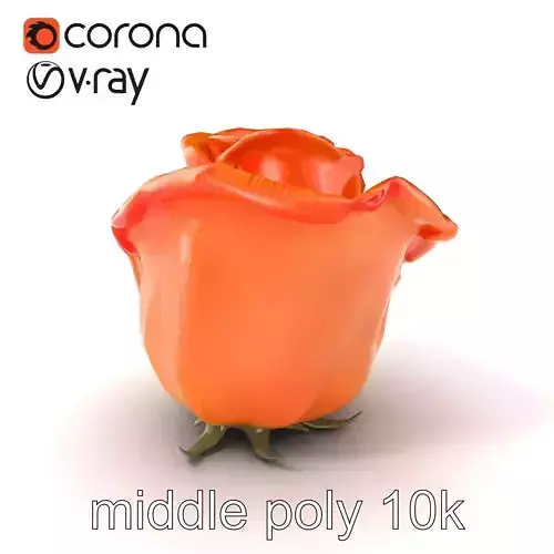 Rose Variety Beauty Blossoms model pack Low-poly 3D model