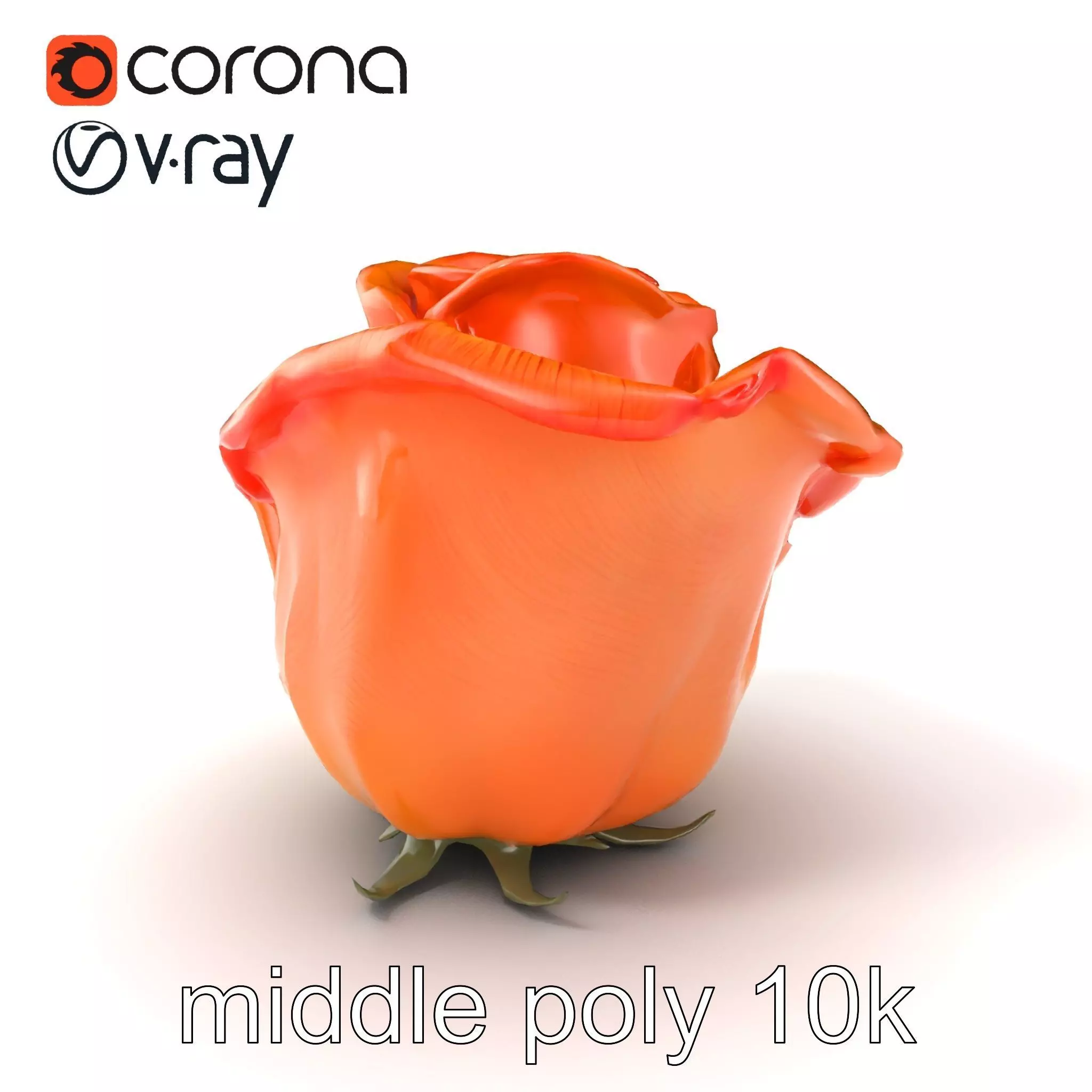 Rose Variety Beauty Blossoms model pack Low-poly 3D model_0