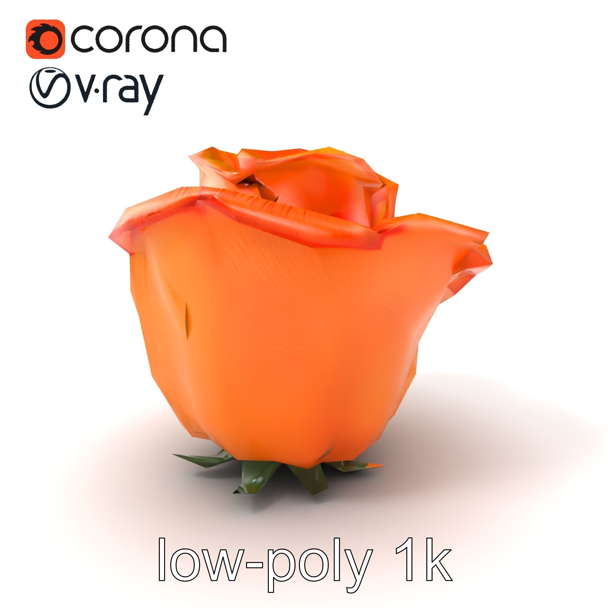 Rose Variety Beauty Blossoms model pack Low-poly 3D model_4
