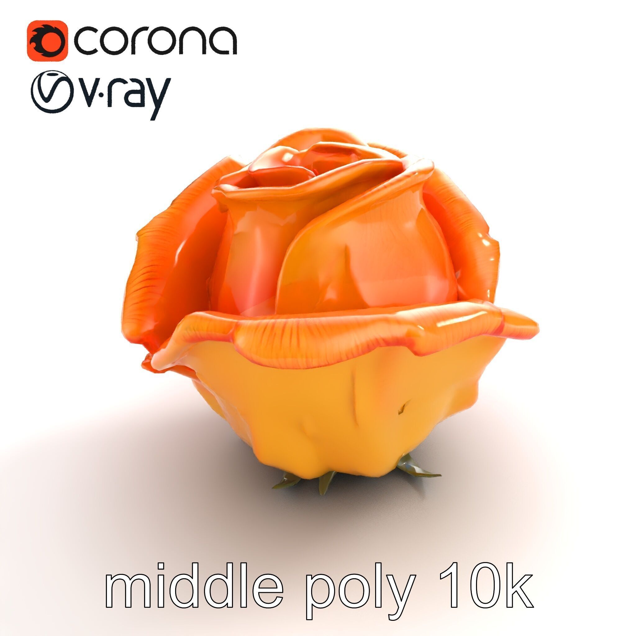 Rose Variety Beauty Blossoms model pack Low-poly 3D model_7