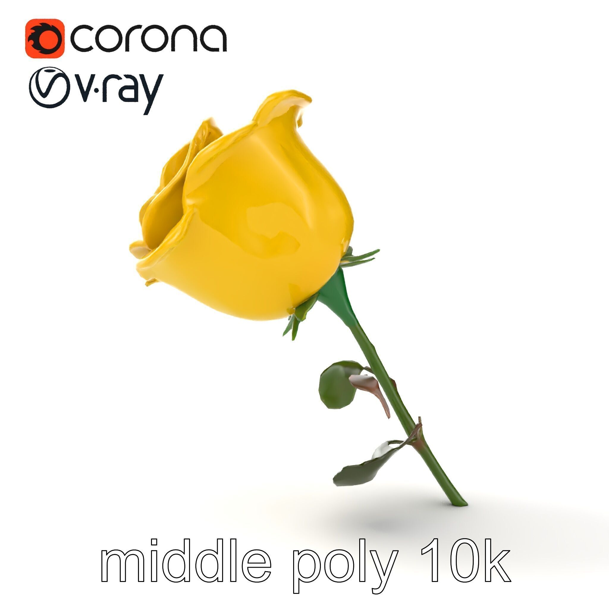 Rosa Foetida Yellow Rose Detailed Model Pack Low-poly 3D model_23