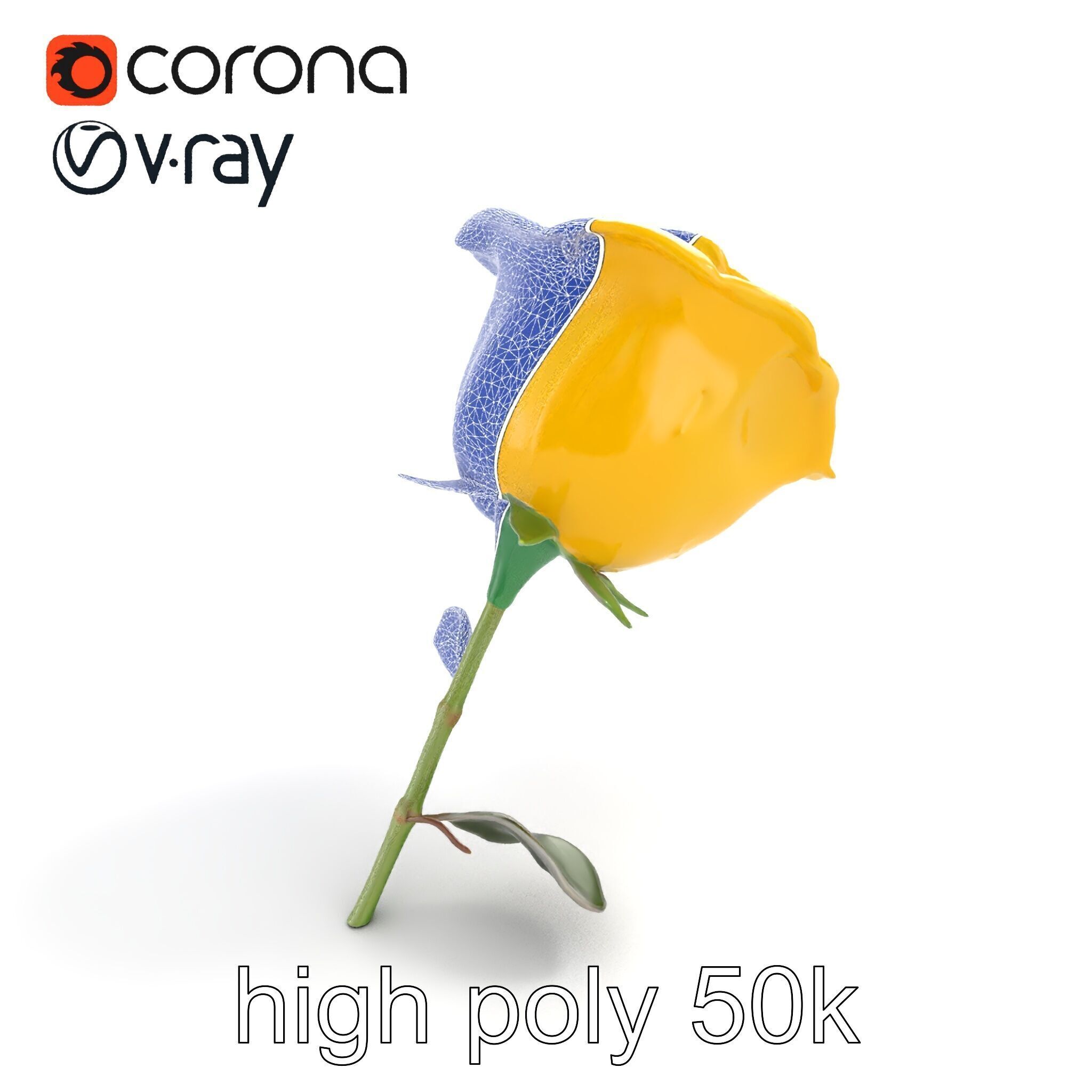Rosa Foetida Yellow Rose Detailed Model Pack Low-poly 3D model_16