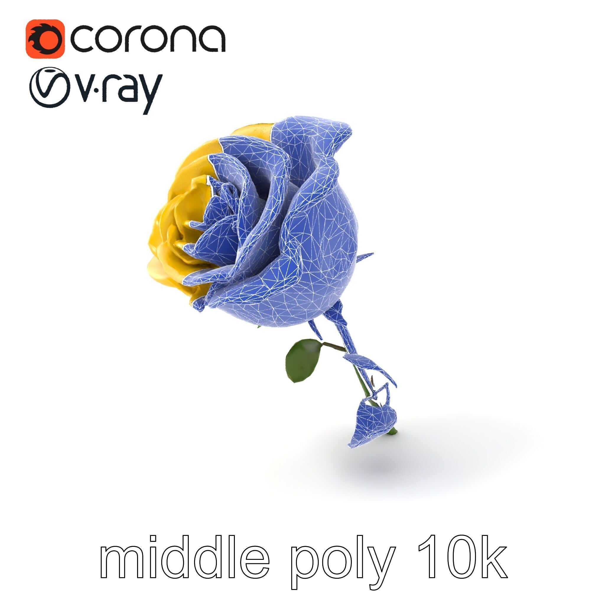 Rosa Foetida Yellow Rose Detailed Model Pack Low-poly 3D model_5