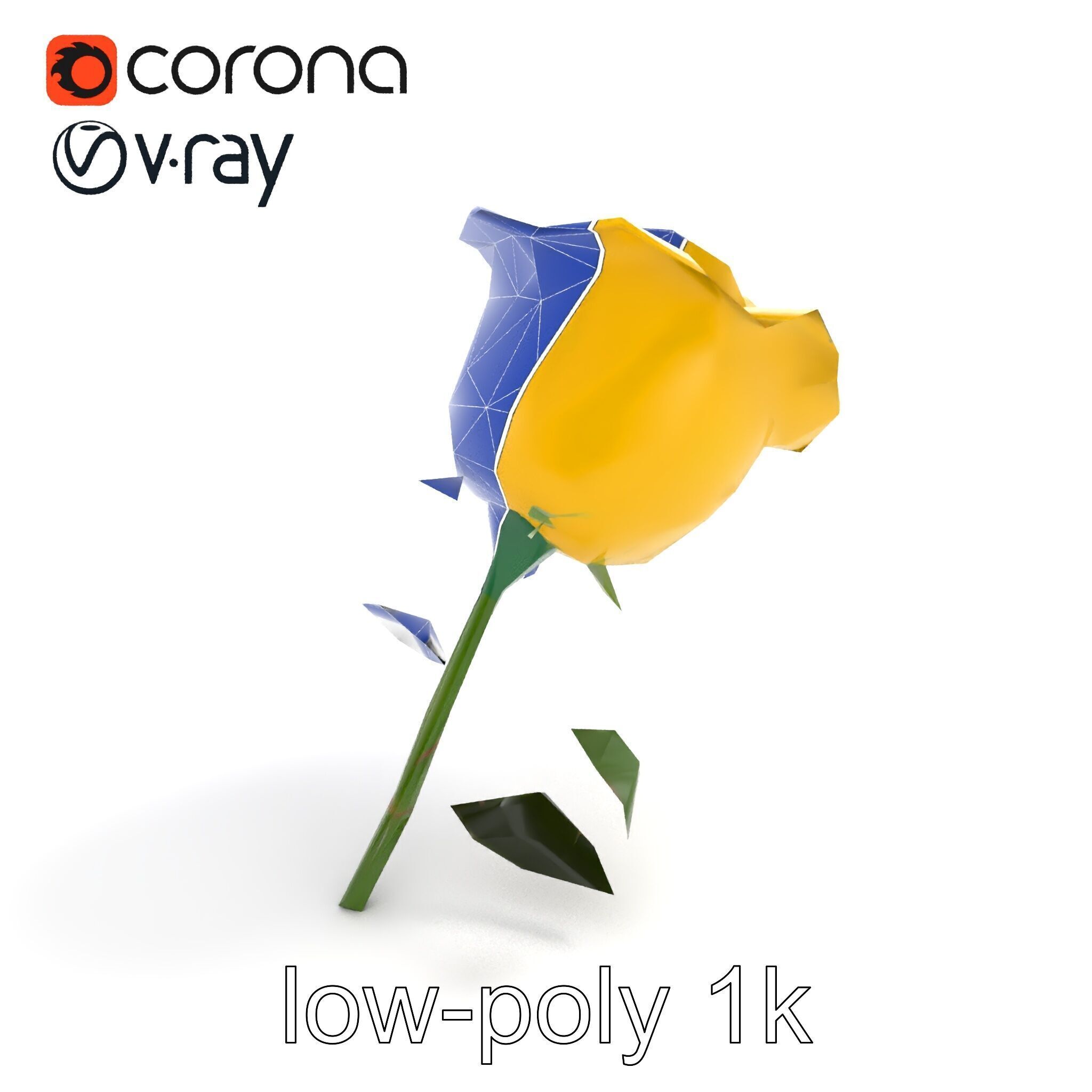 Rosa Foetida Yellow Rose Detailed Model Pack Low-poly 3D model_21