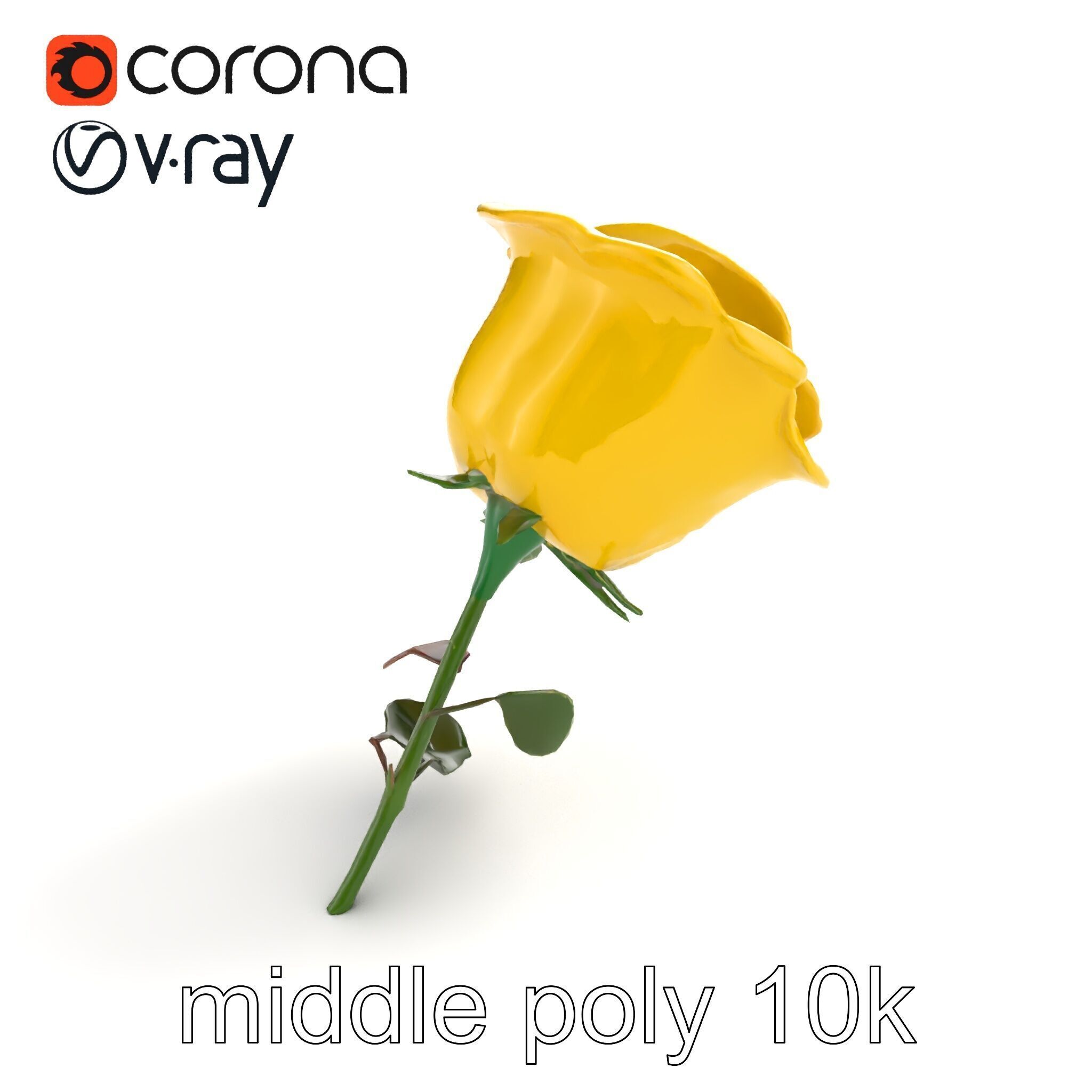Rosa Foetida Yellow Rose Detailed Model Pack Low-poly 3D model_7