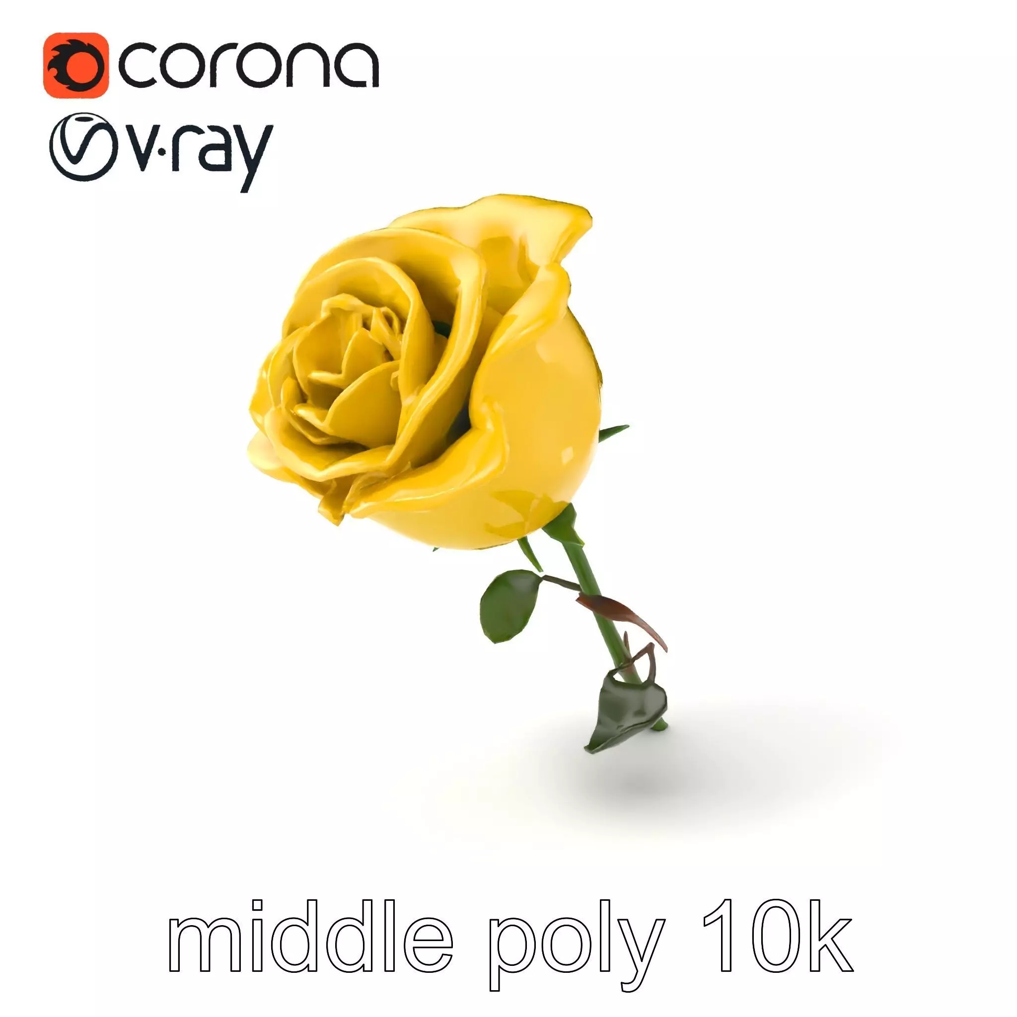 Rosa Foetida Yellow Rose Detailed Model Pack Low-poly 3D model_0