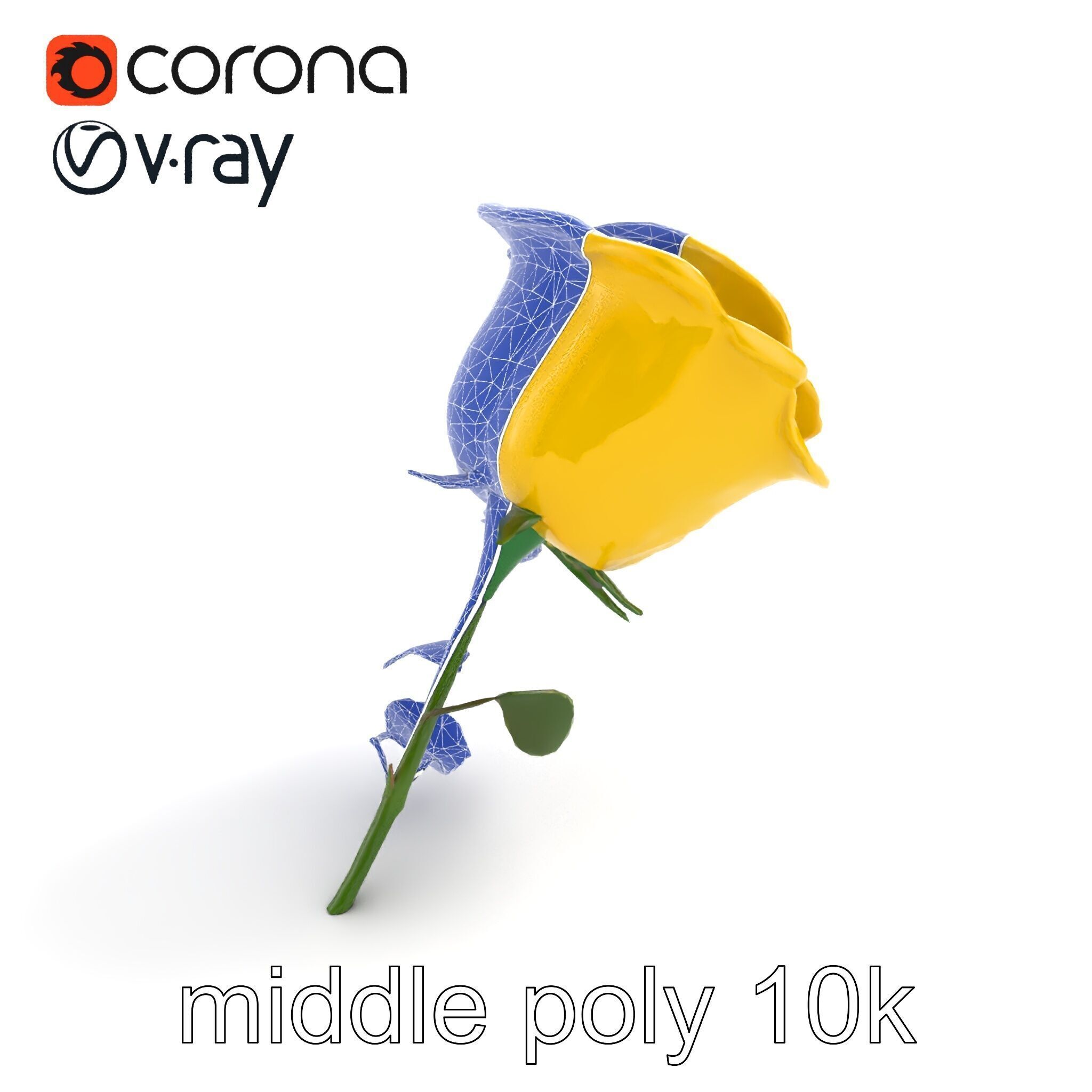 Rosa Foetida Yellow Rose Detailed Model Pack Low-poly 3D model_10