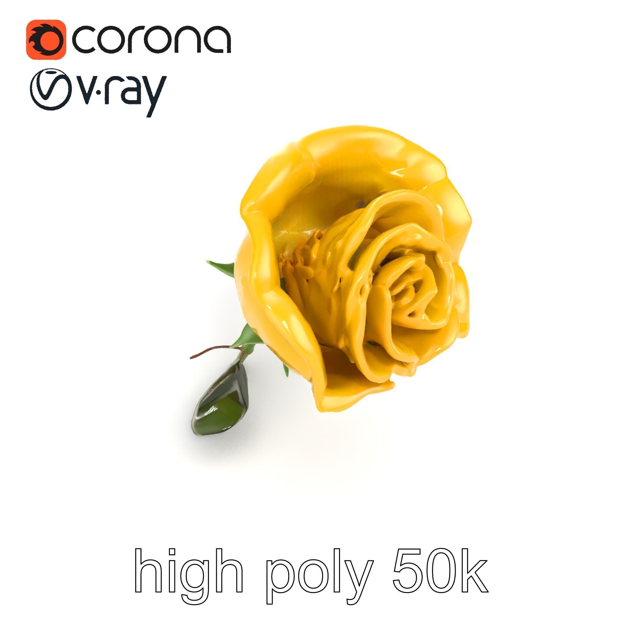 Rosa Foetida Yellow Rose Detailed Model Pack Low-poly 3D model_30