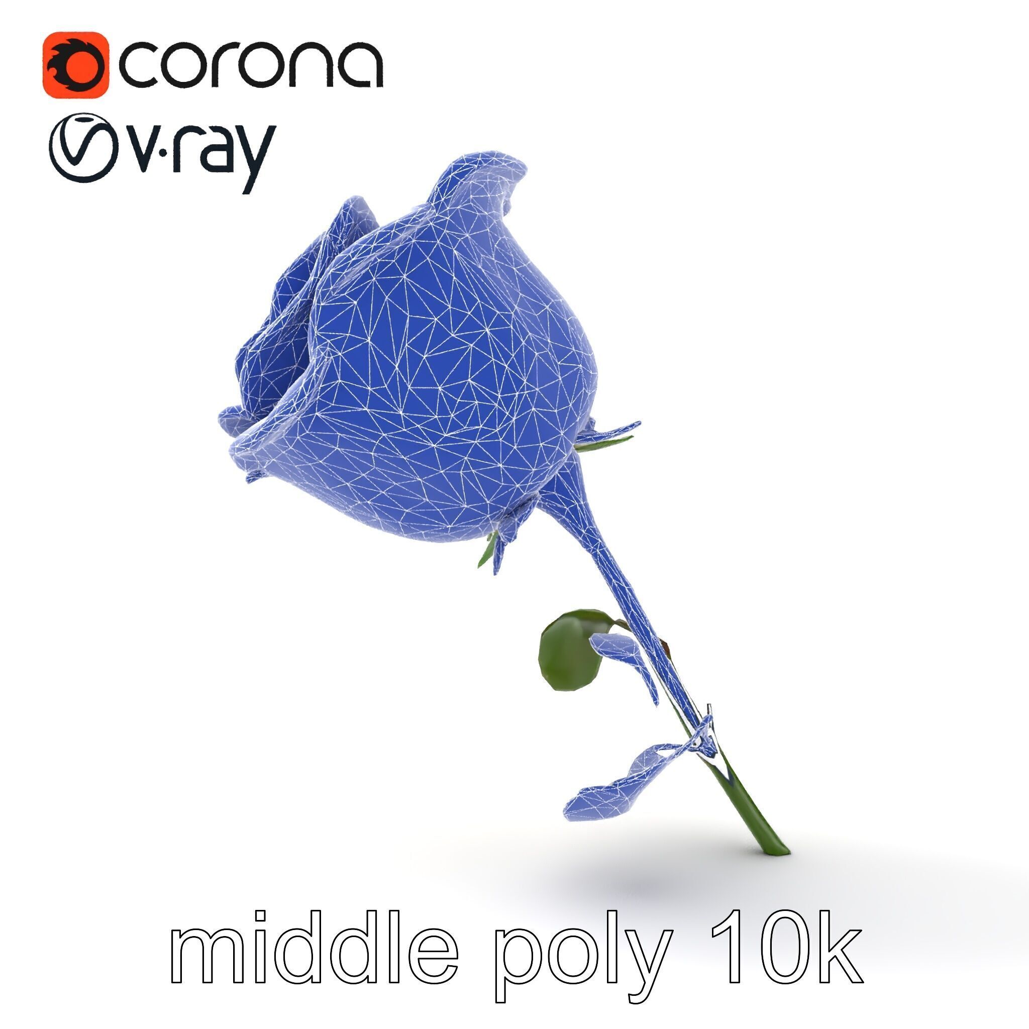 Rosa Foetida Yellow Rose Detailed Model Pack Low-poly 3D model_27