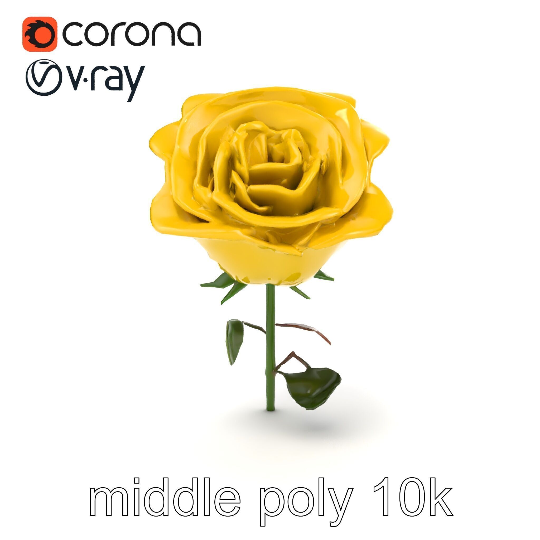 Rosa Foetida Yellow Rose Detailed Model Pack Low-poly 3D model_22