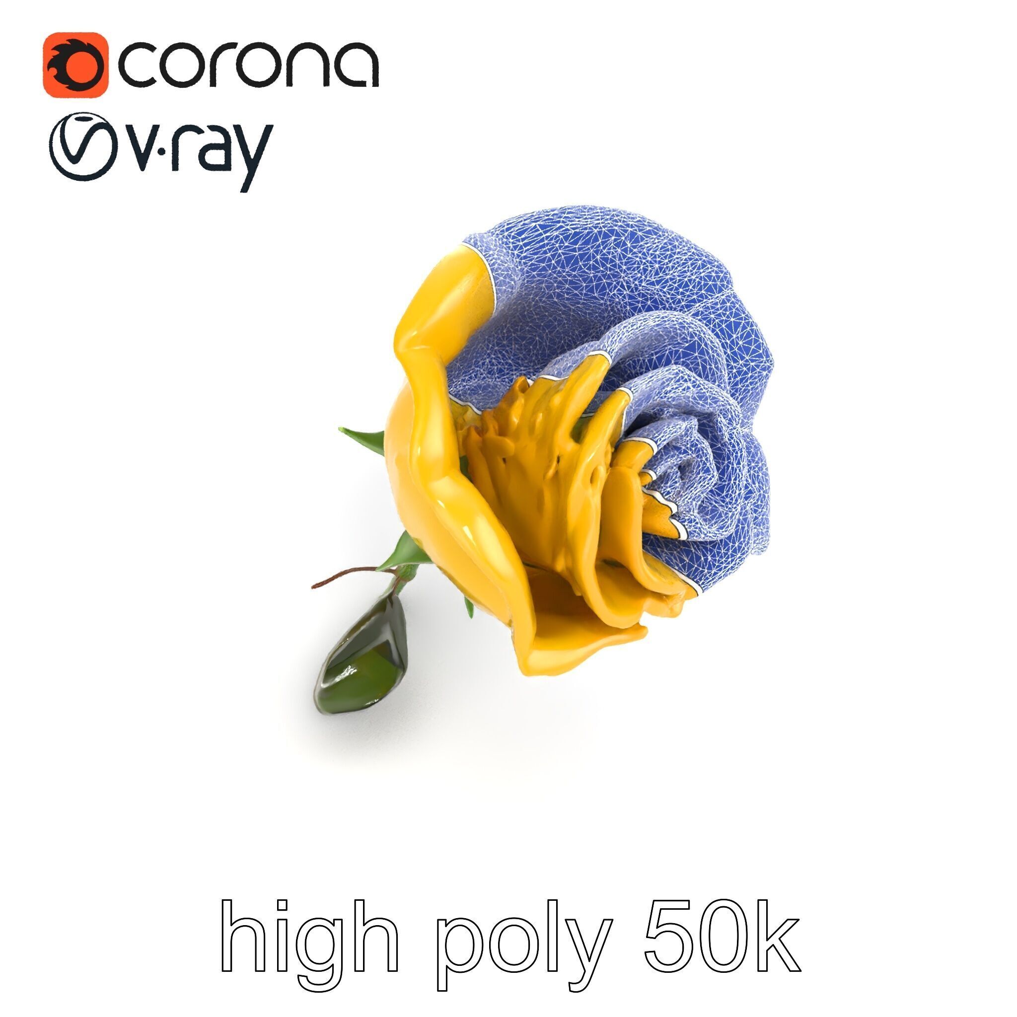 Rosa Foetida Yellow Rose Detailed Model Pack Low-poly 3D model_28