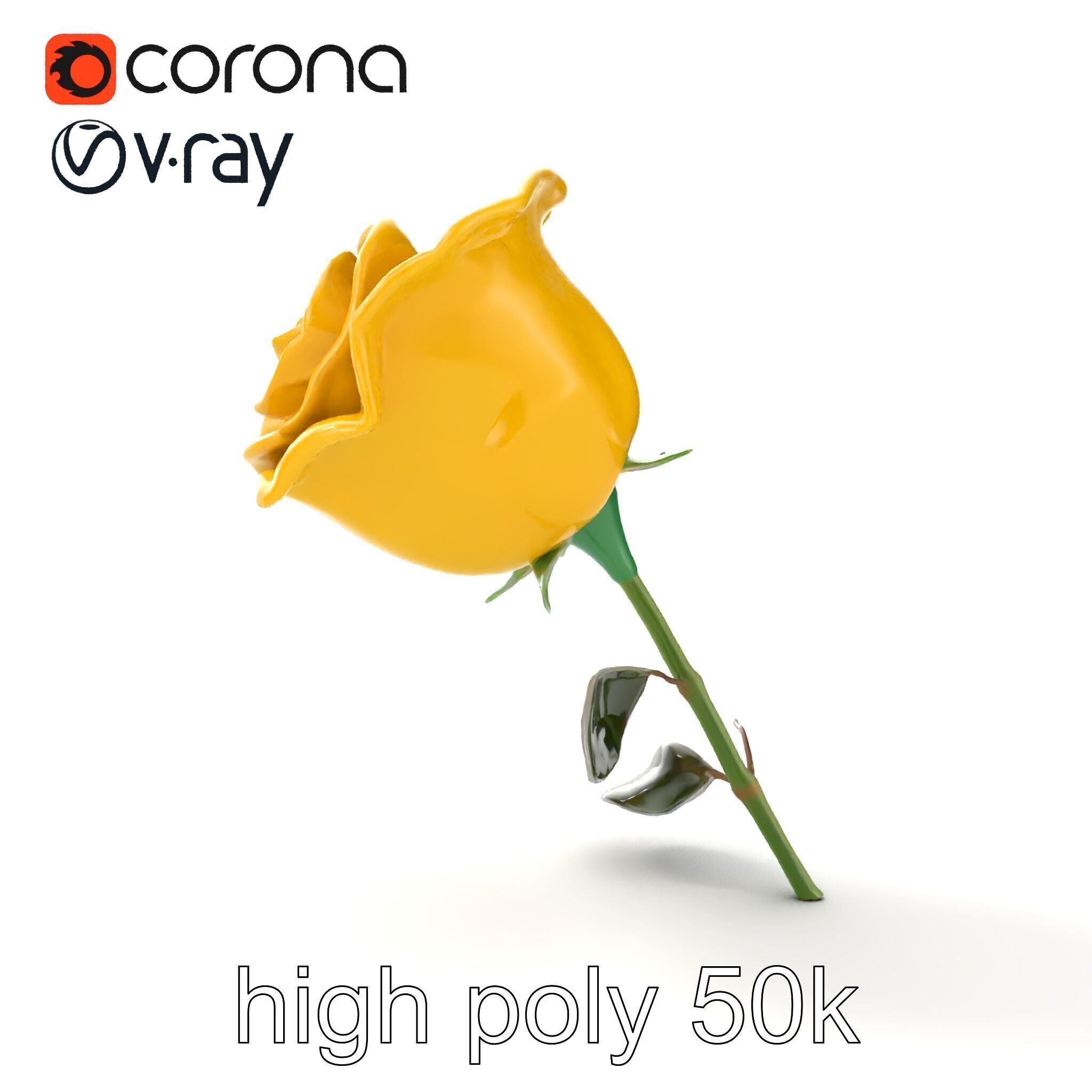 Rosa Foetida Yellow Rose Detailed Model Pack Low-poly 3D model_13