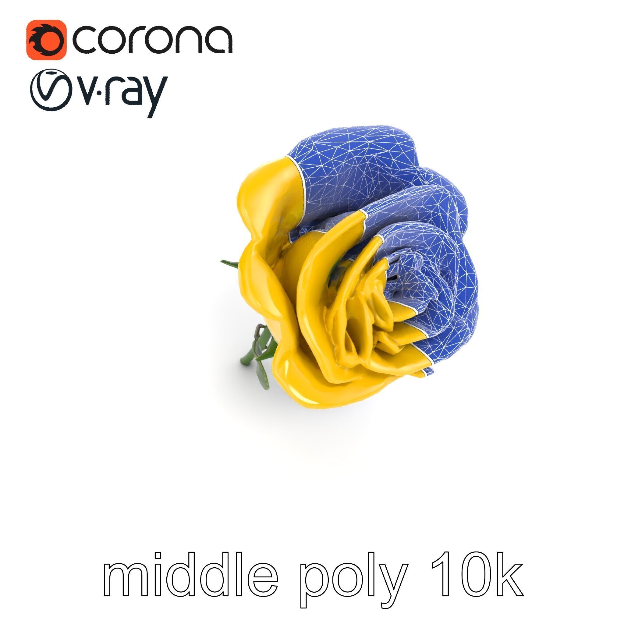 Rosa Foetida Yellow Rose Detailed Model Pack Low-poly 3D model_14
