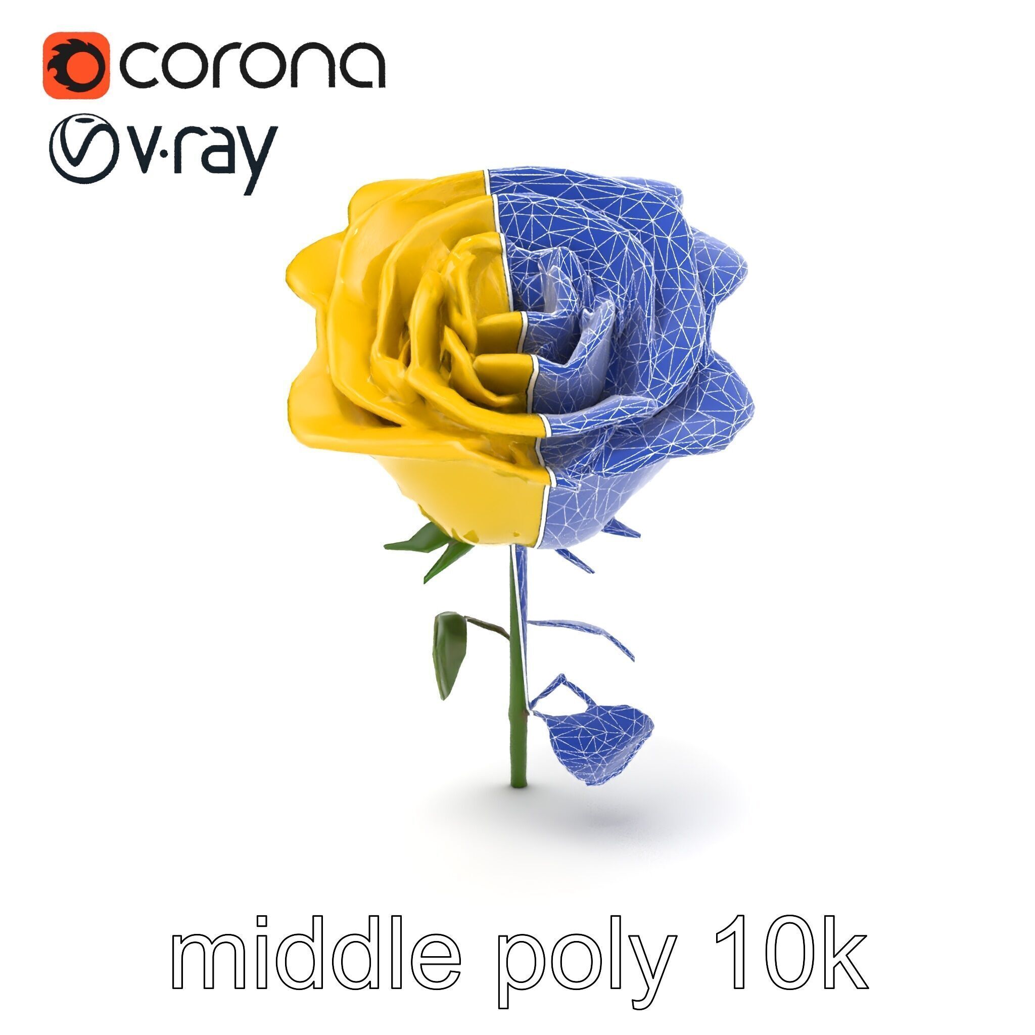 Rosa Foetida Yellow Rose Detailed Model Pack Low-poly 3D model_11
