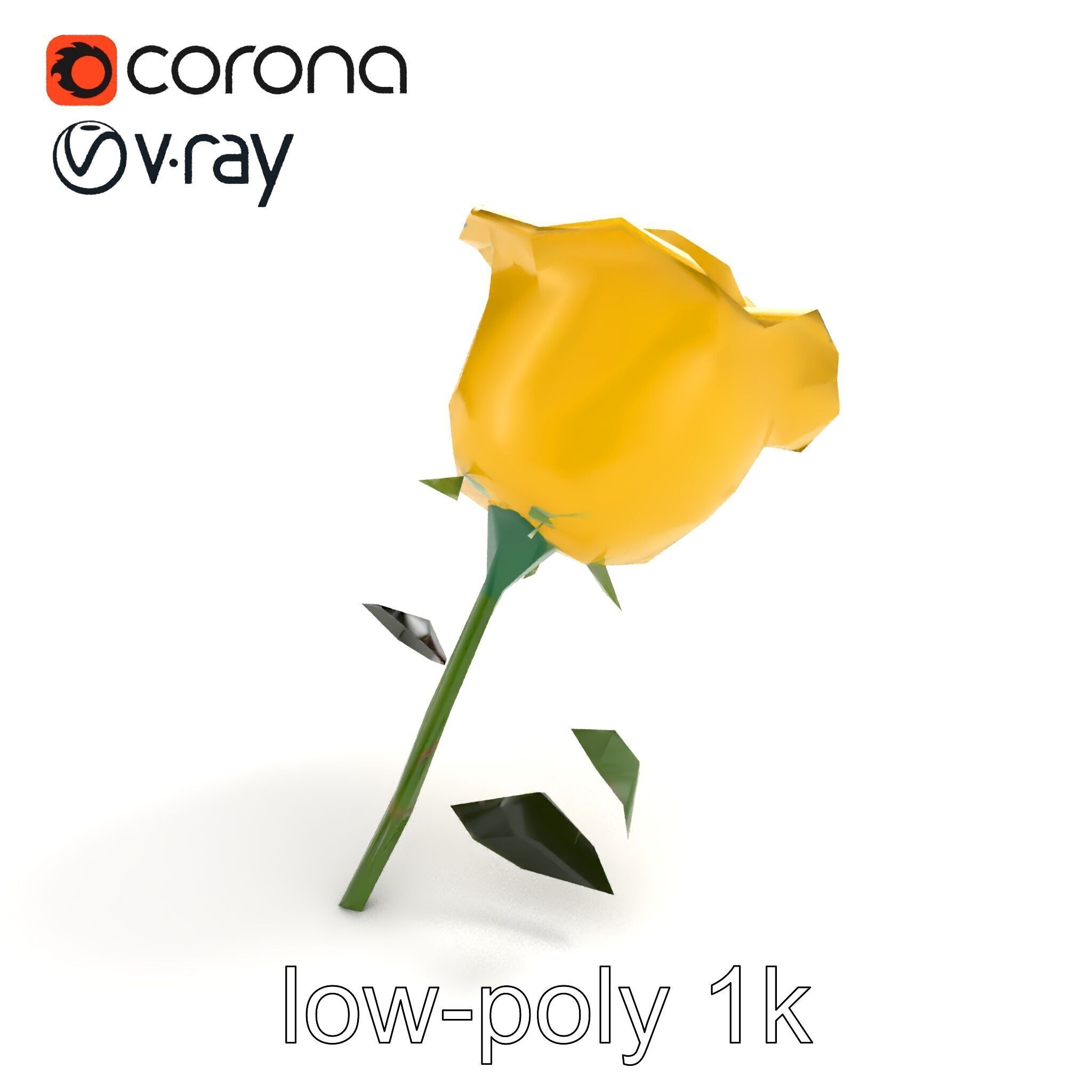 Rosa Foetida Yellow Rose Detailed Model Pack Low-poly 3D model_8
