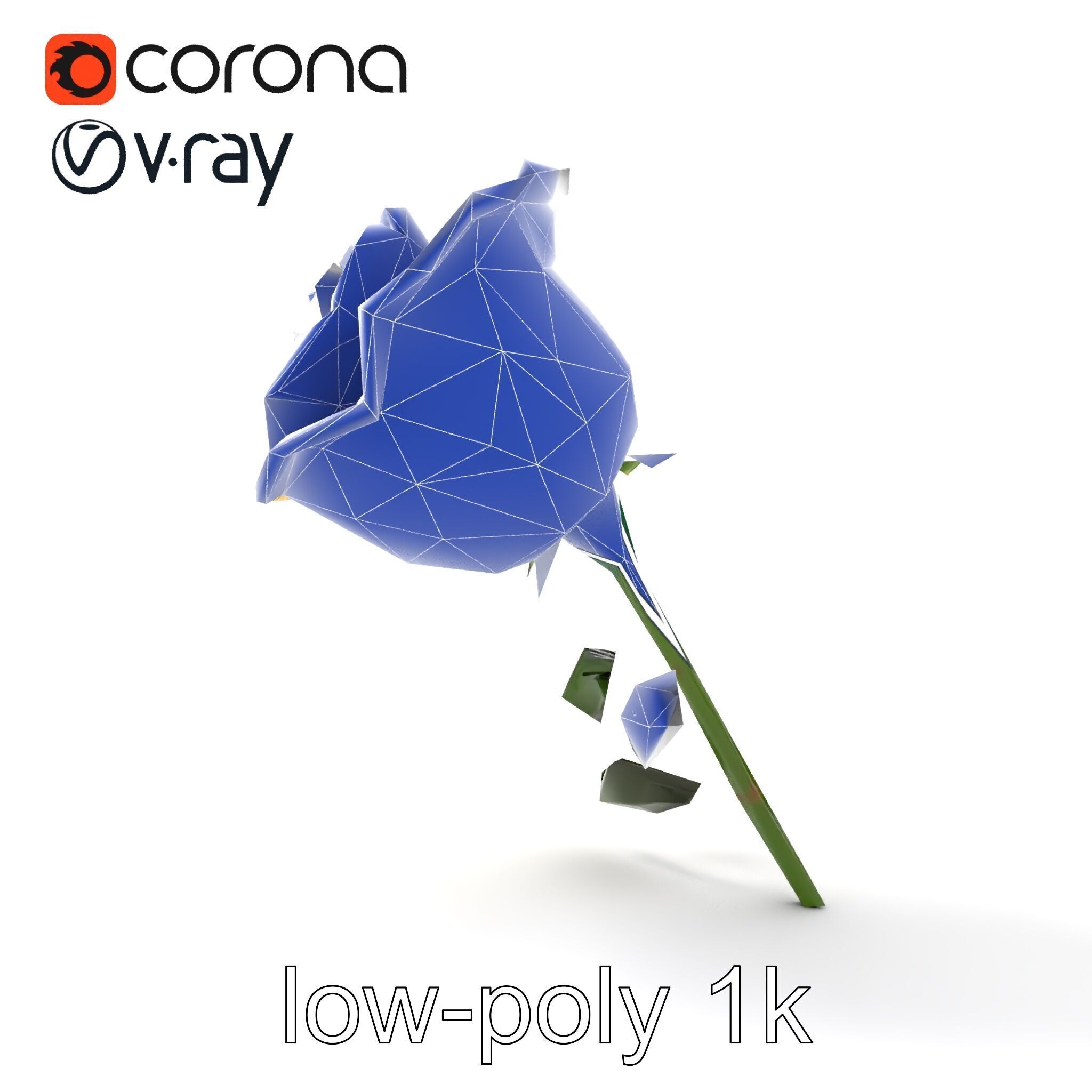 Rosa Foetida Yellow Rose Detailed Model Pack Low-poly 3D model_18