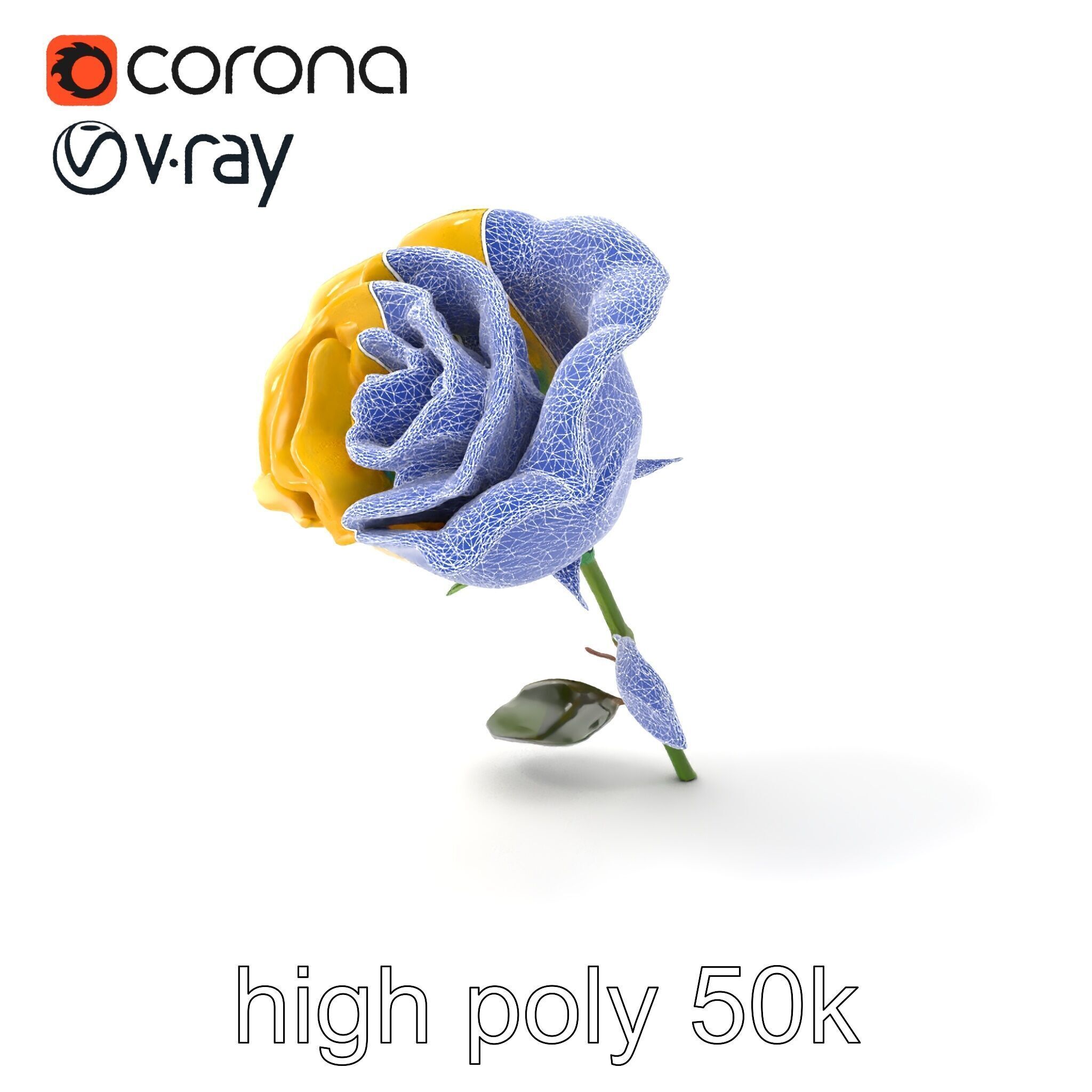 Rosa Foetida Yellow Rose Detailed Model Pack Low-poly 3D model_1