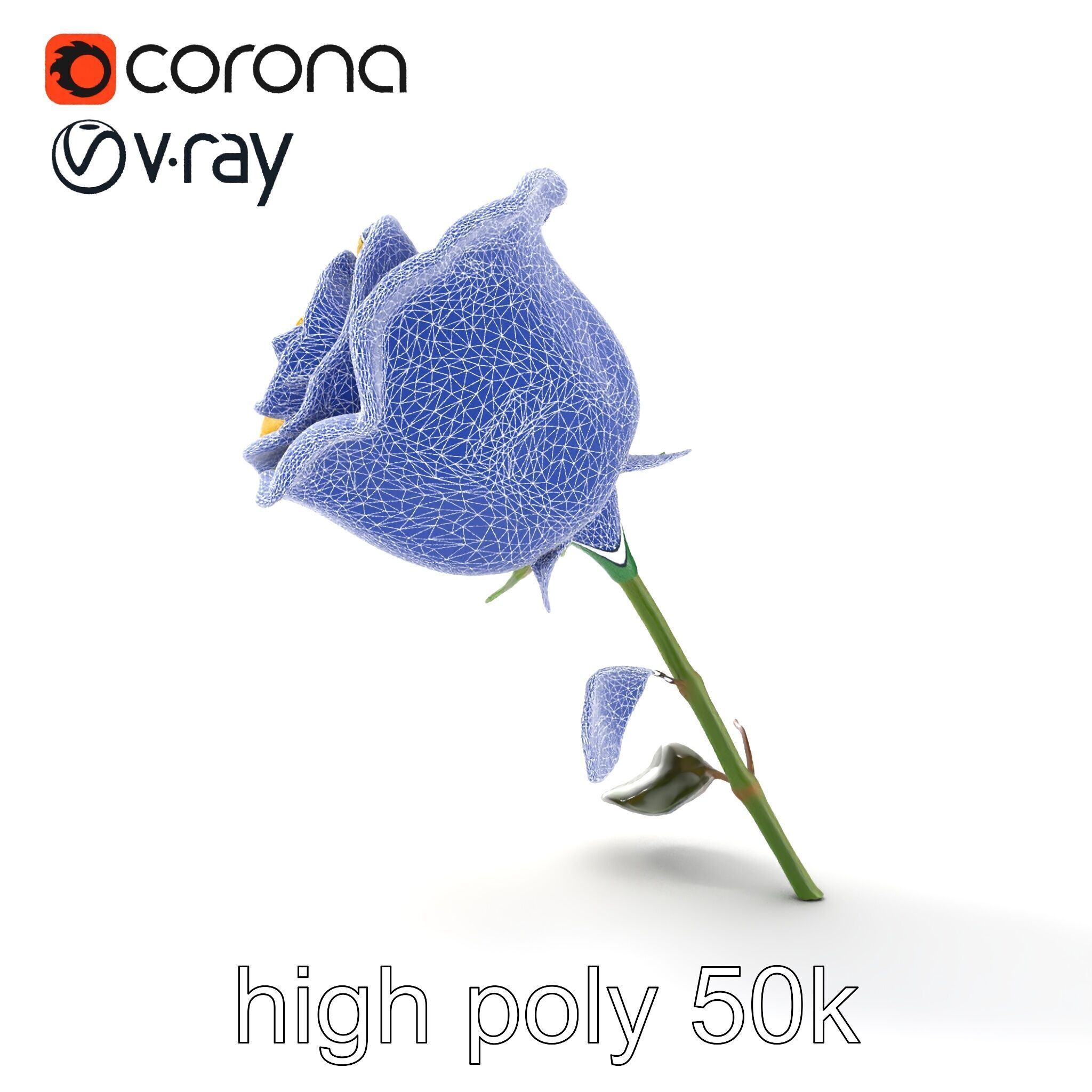 Rosa Foetida Yellow Rose Detailed Model Pack Low-poly 3D model_29