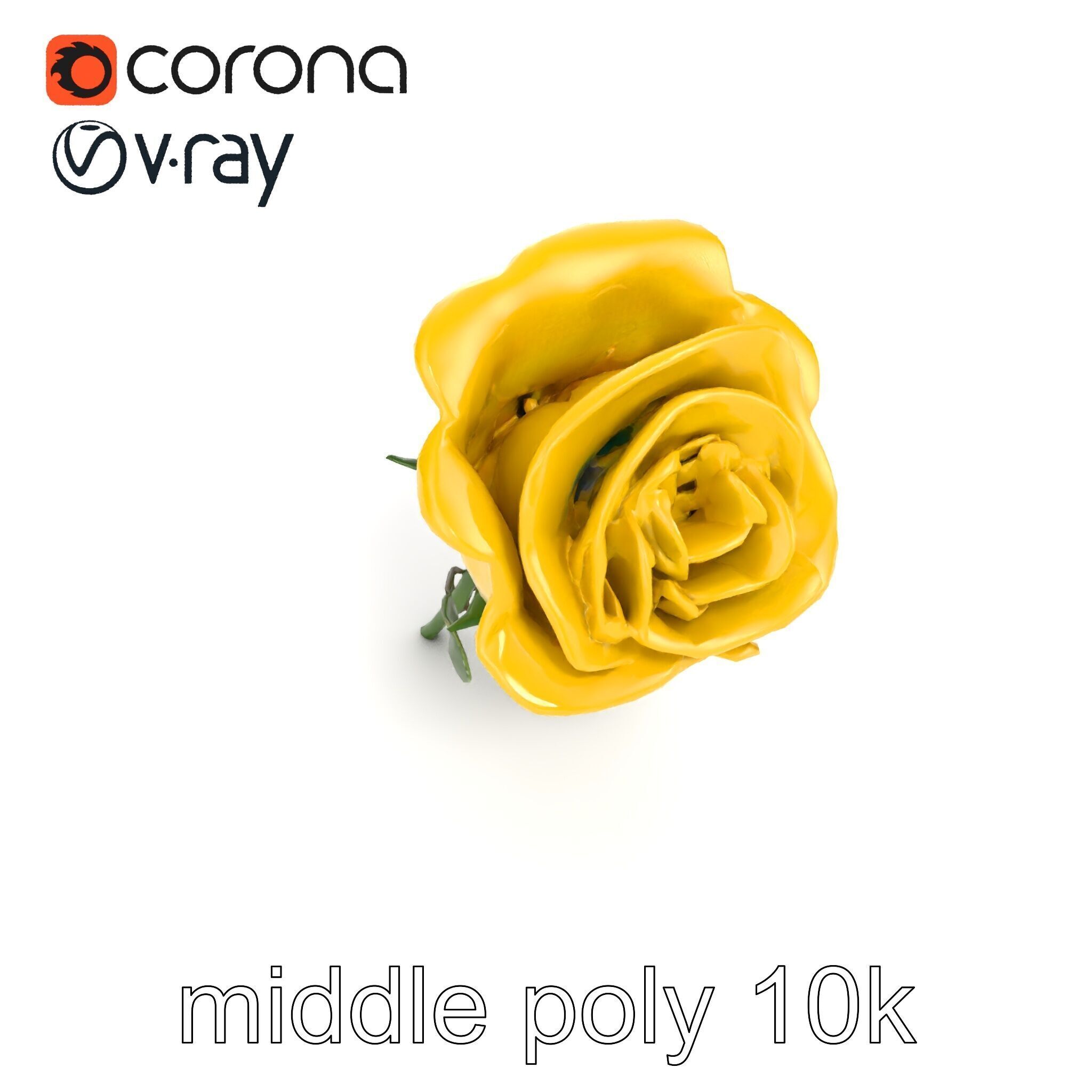 Rosa Foetida Yellow Rose Detailed Model Pack Low-poly 3D model_24